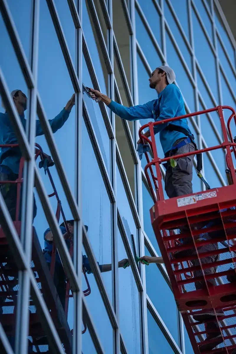 Window cleaner rappelling down a glass skyscraper, wearing a harness and carrying a bucket.