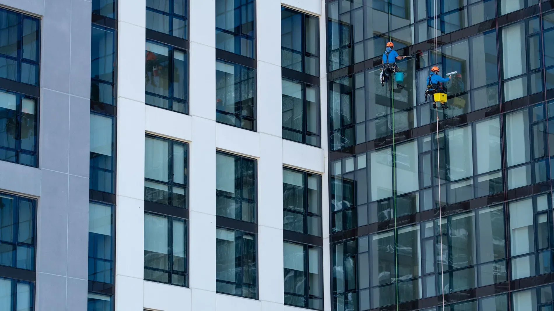 Two window washers suspended on ropes cleaning the glass facade of a building.
