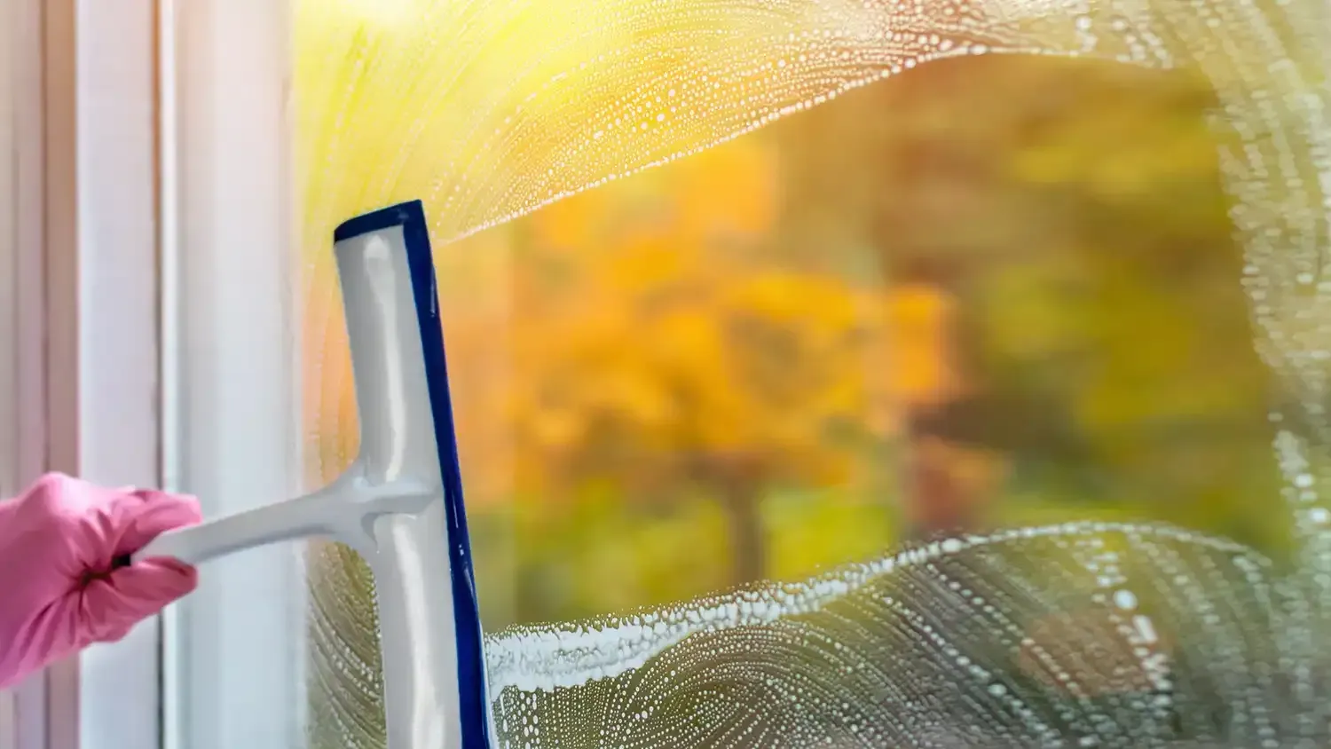 Fall window cleaning by a person wearing a pink glove, using a squeegee
