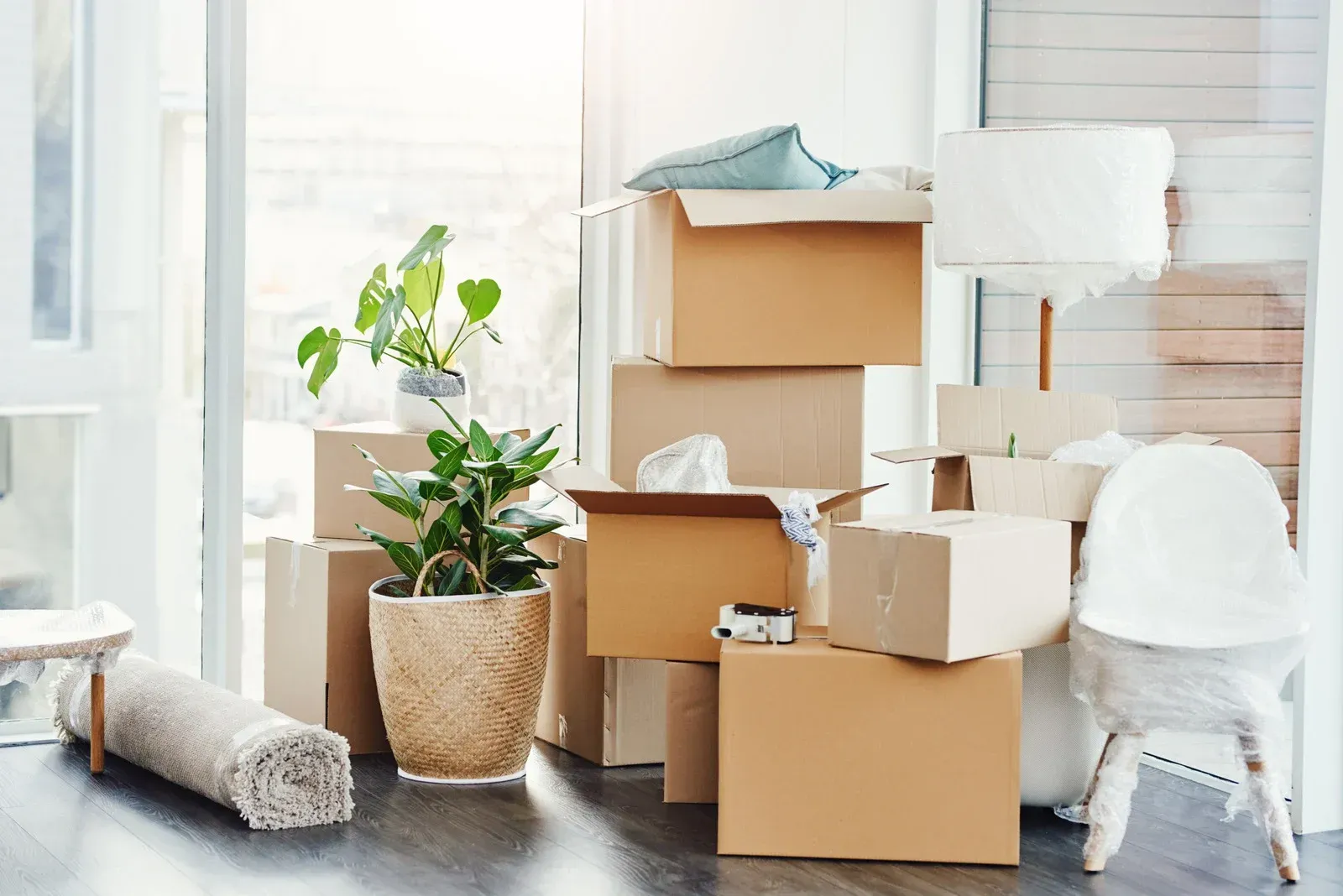 Cardboard boxes stacked near a window, suggesting a move, with plants and a lamp.