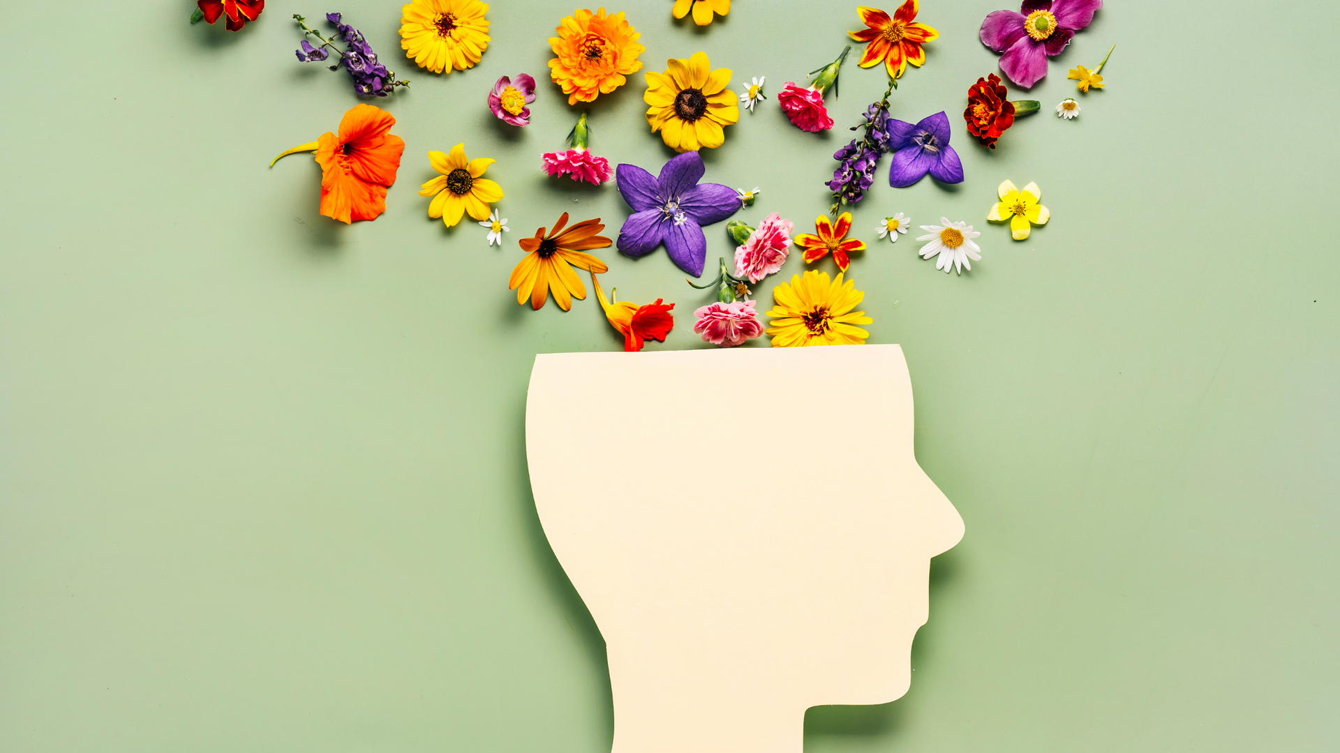 head with flowers exploding