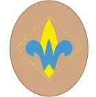Boy Scout badge: Brown circle with a yellow diamond enclosing a blue and yellow fleur-de-lis.