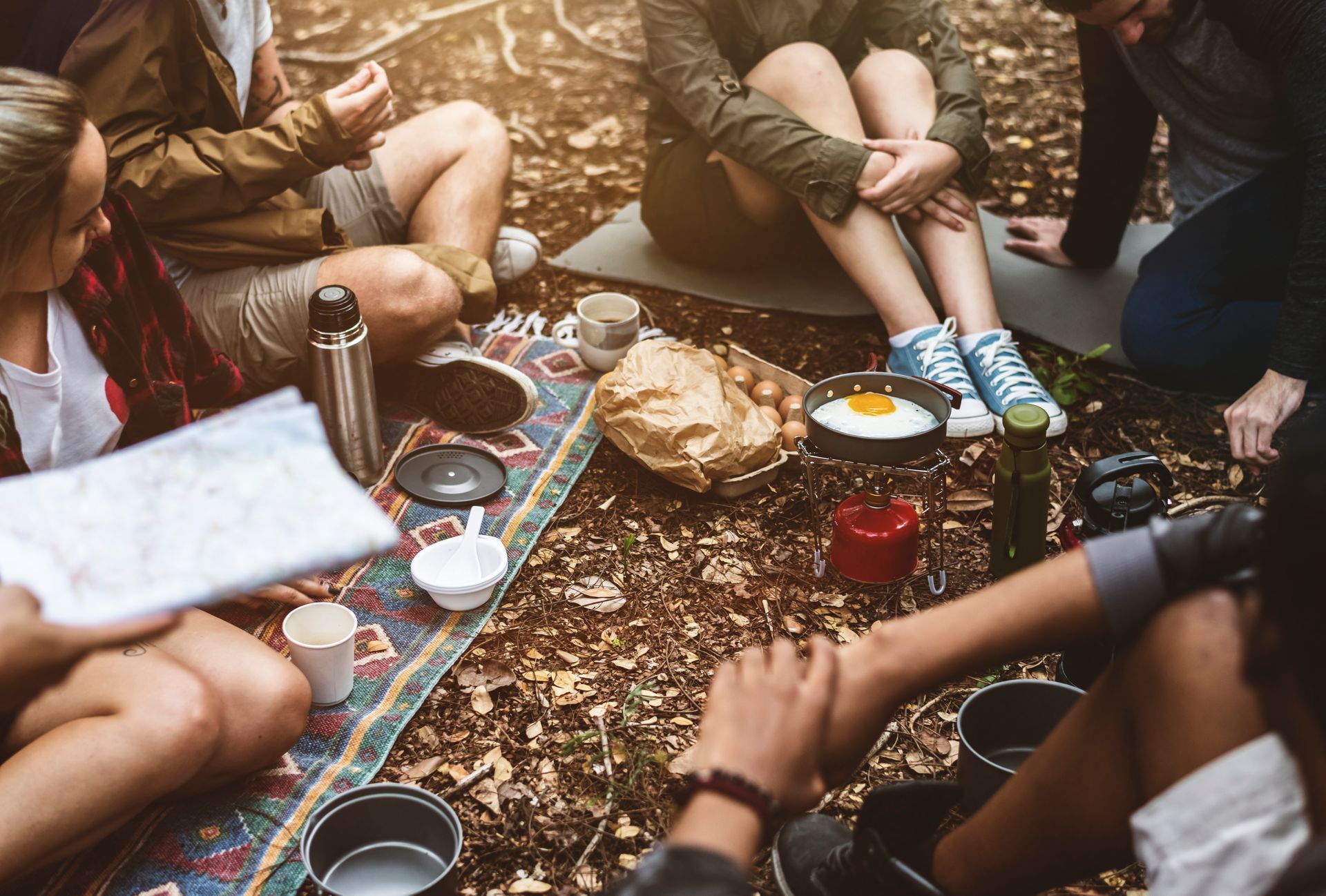 Group of friends having a picnic