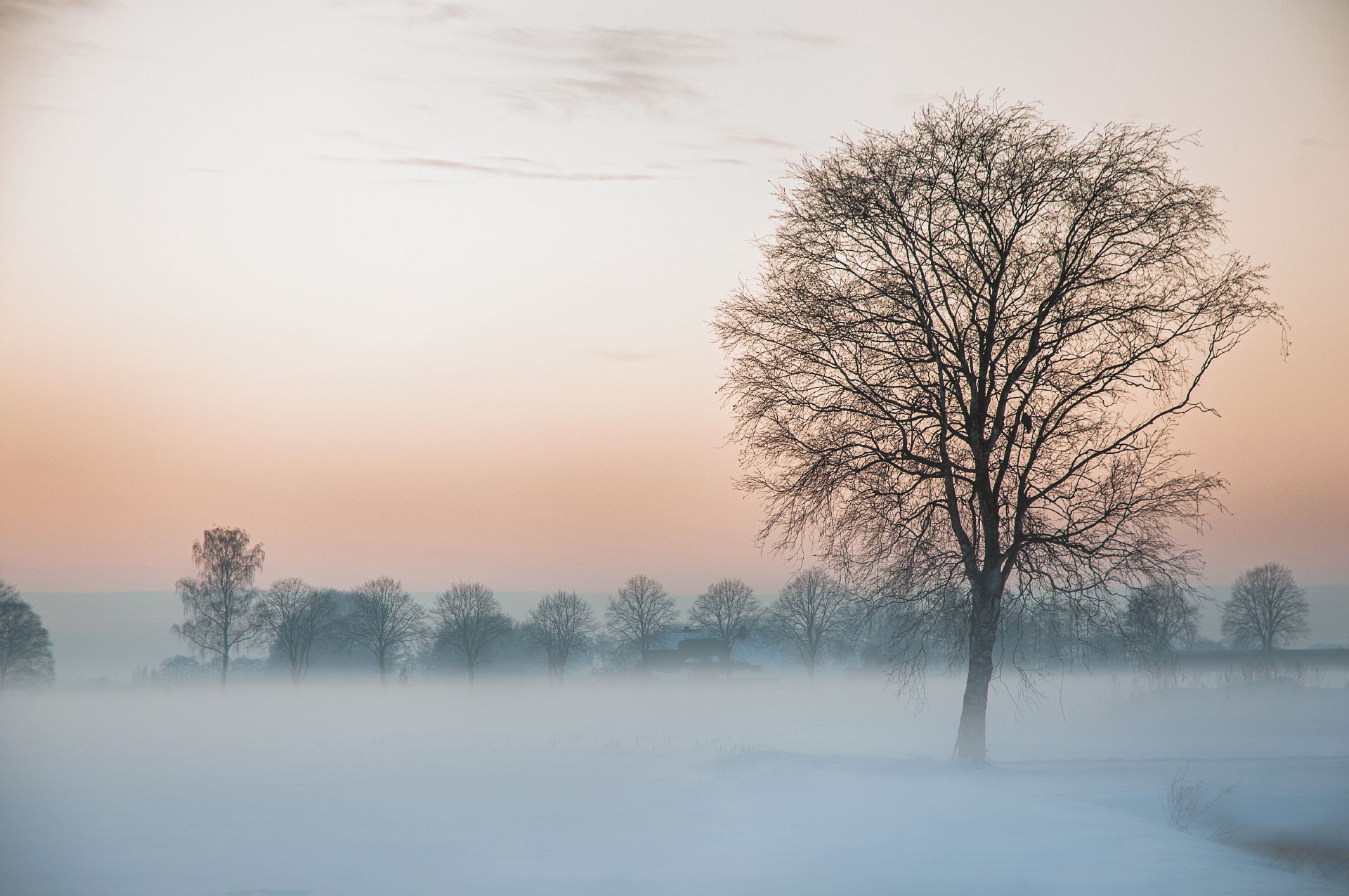 landscape_travel