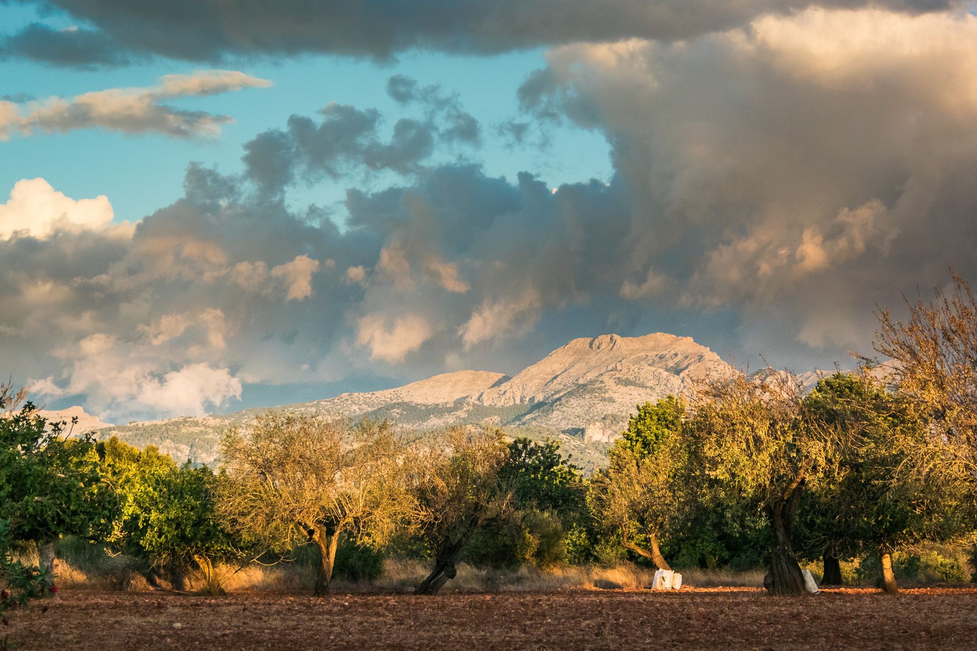 landscape_travel