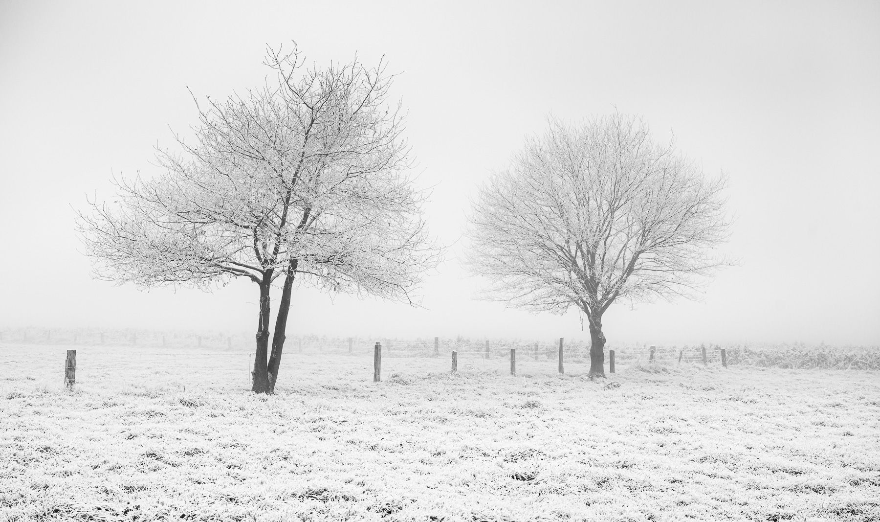 landscape_travel