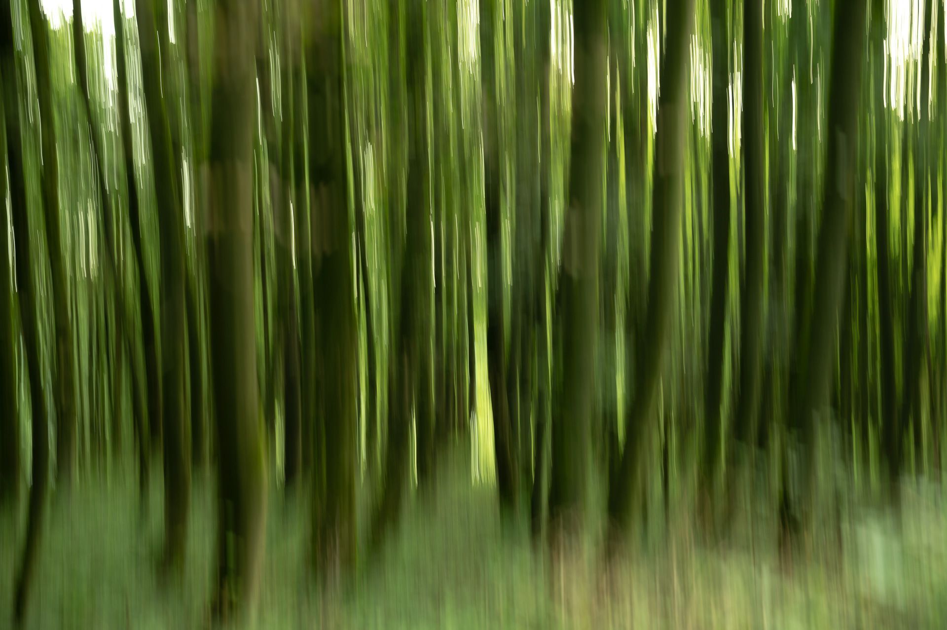 landscape_travel