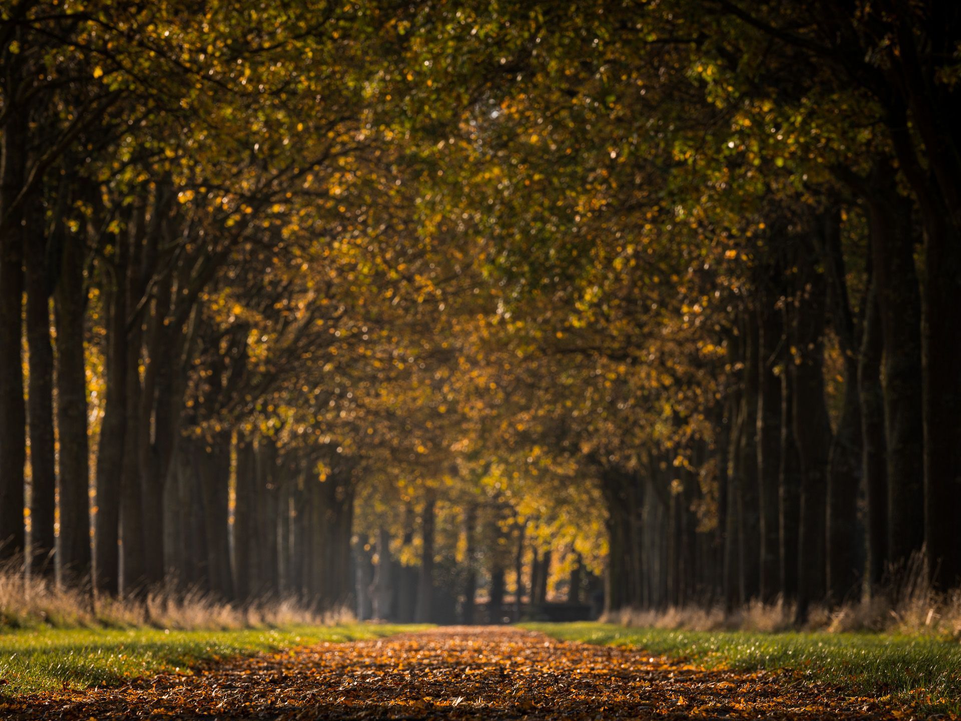 landscape_travel