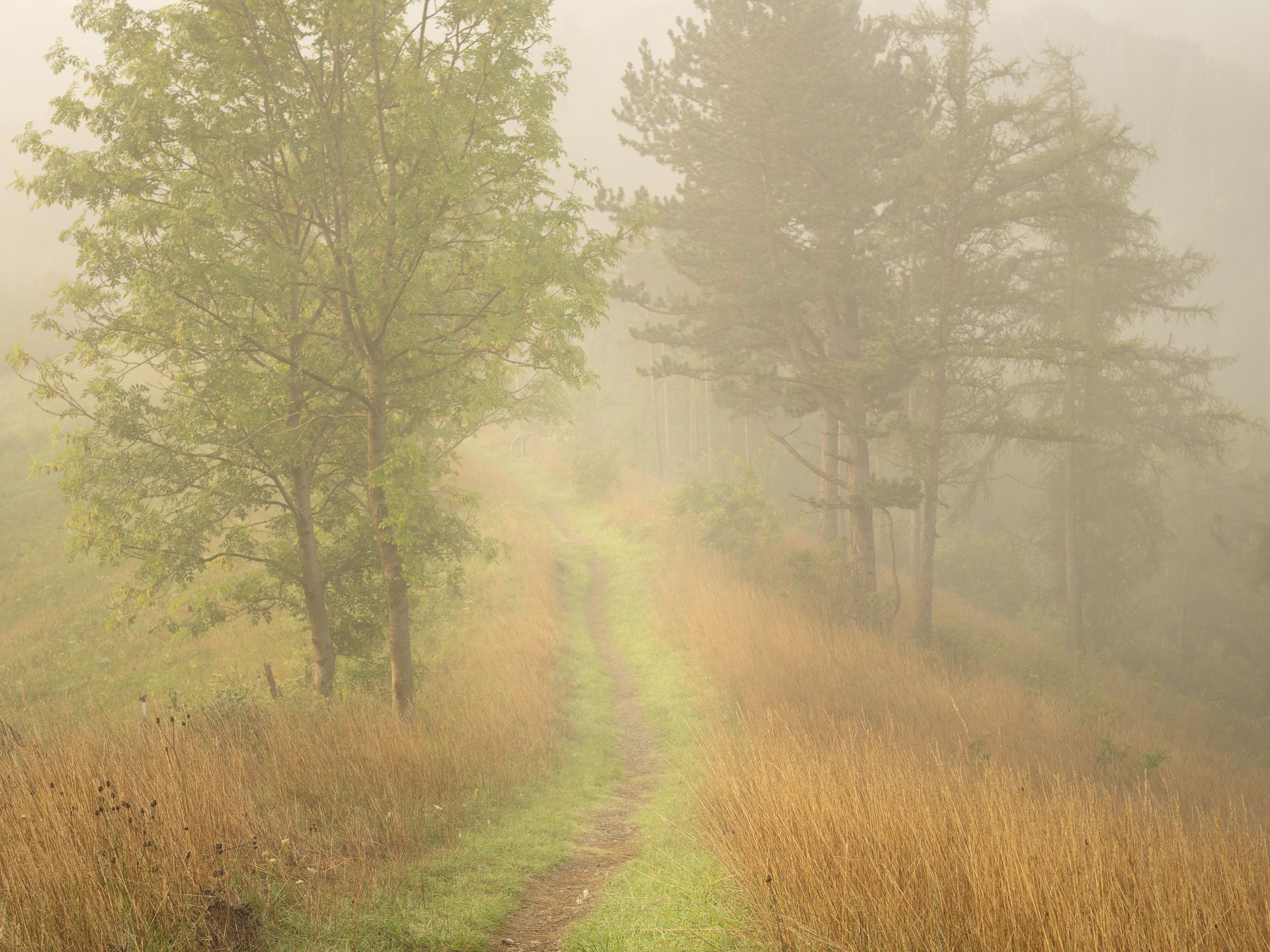 landscape_travel