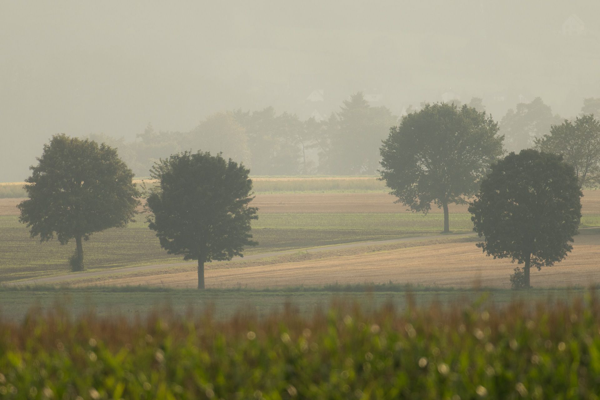 landscape_travel