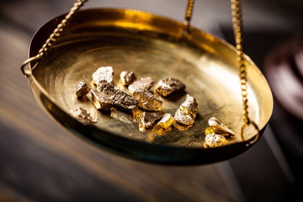 Gold Nugget Gold Nugget