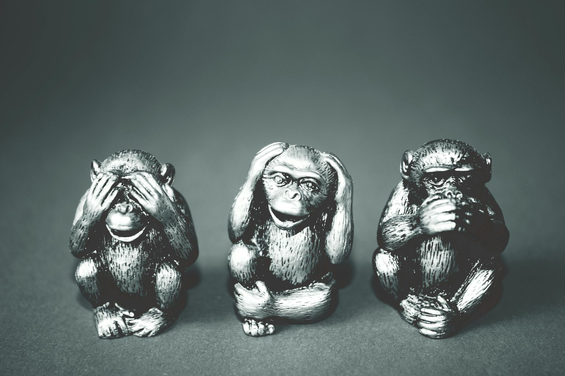See no evil, hear no evil, speak no evil monkeys