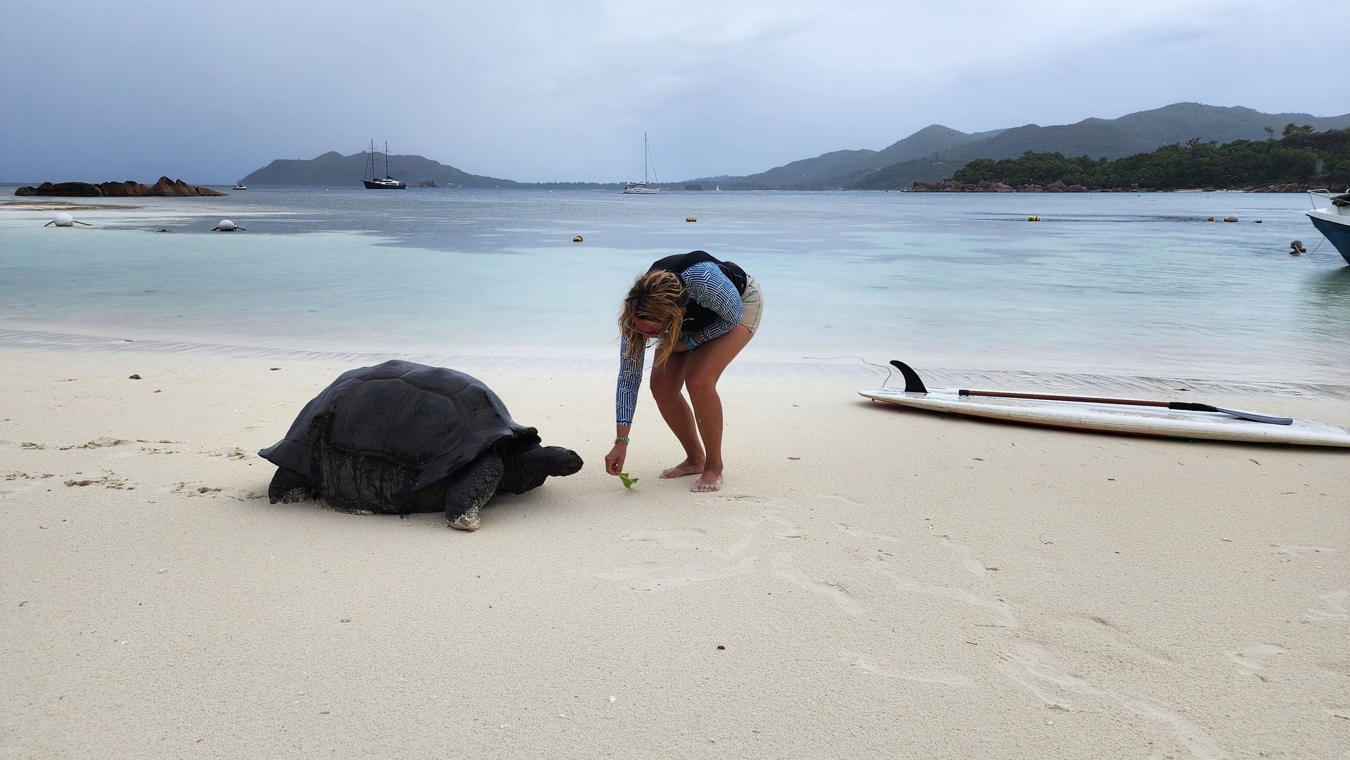 The Seychelles