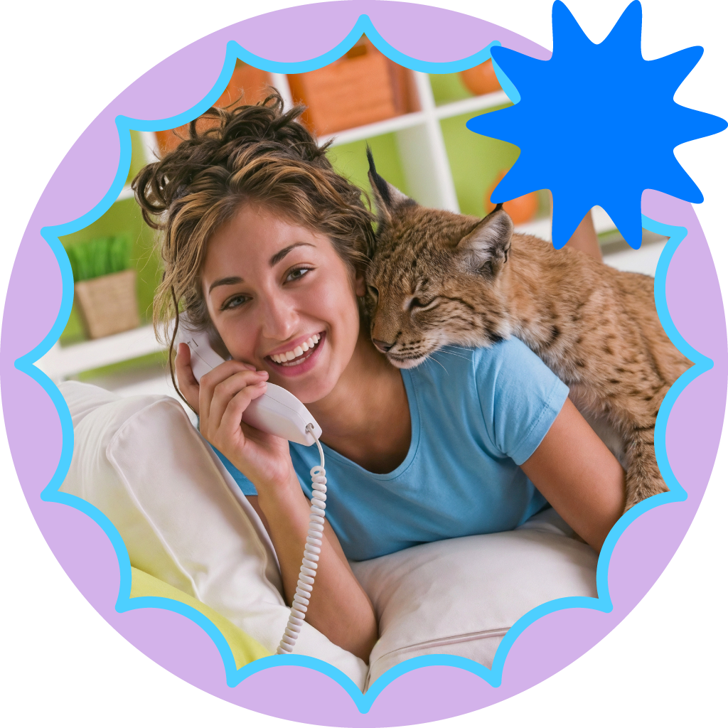 Cablelynx Digital Phone A cat is sitting on a couch talking on a phone