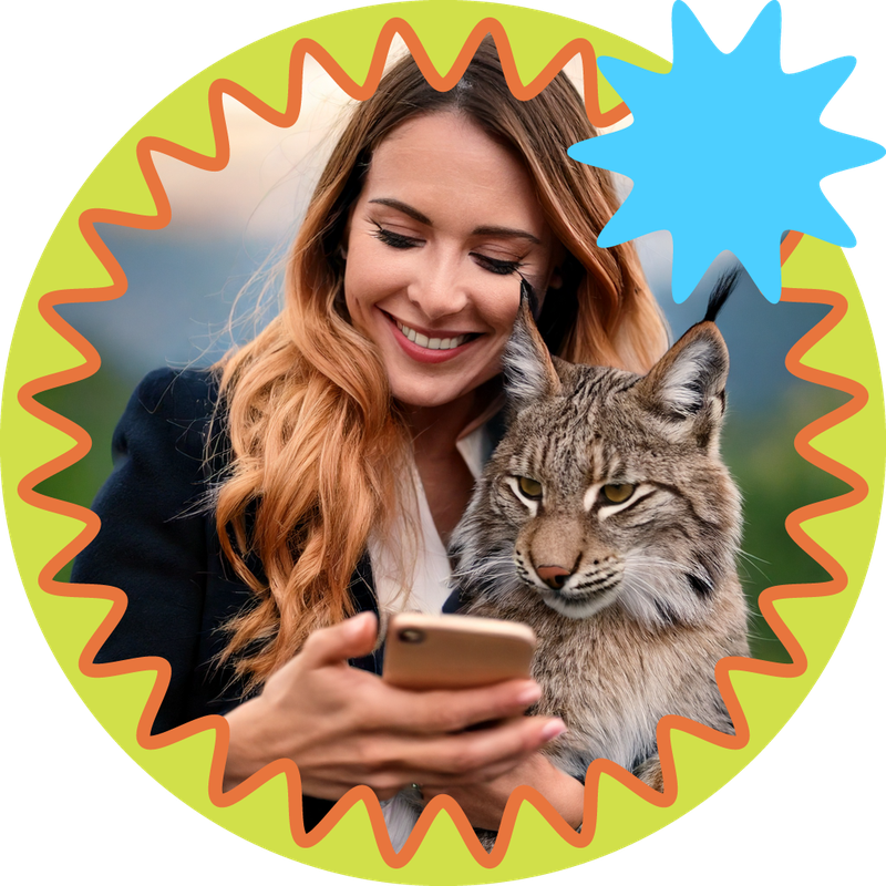 Broadband Internet for Your Business A lynx is sitting at a desk with a laptop