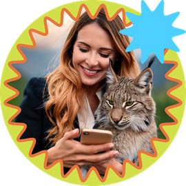 Broadband Internet for Your Business A lynx is sitting at a desk with a laptop