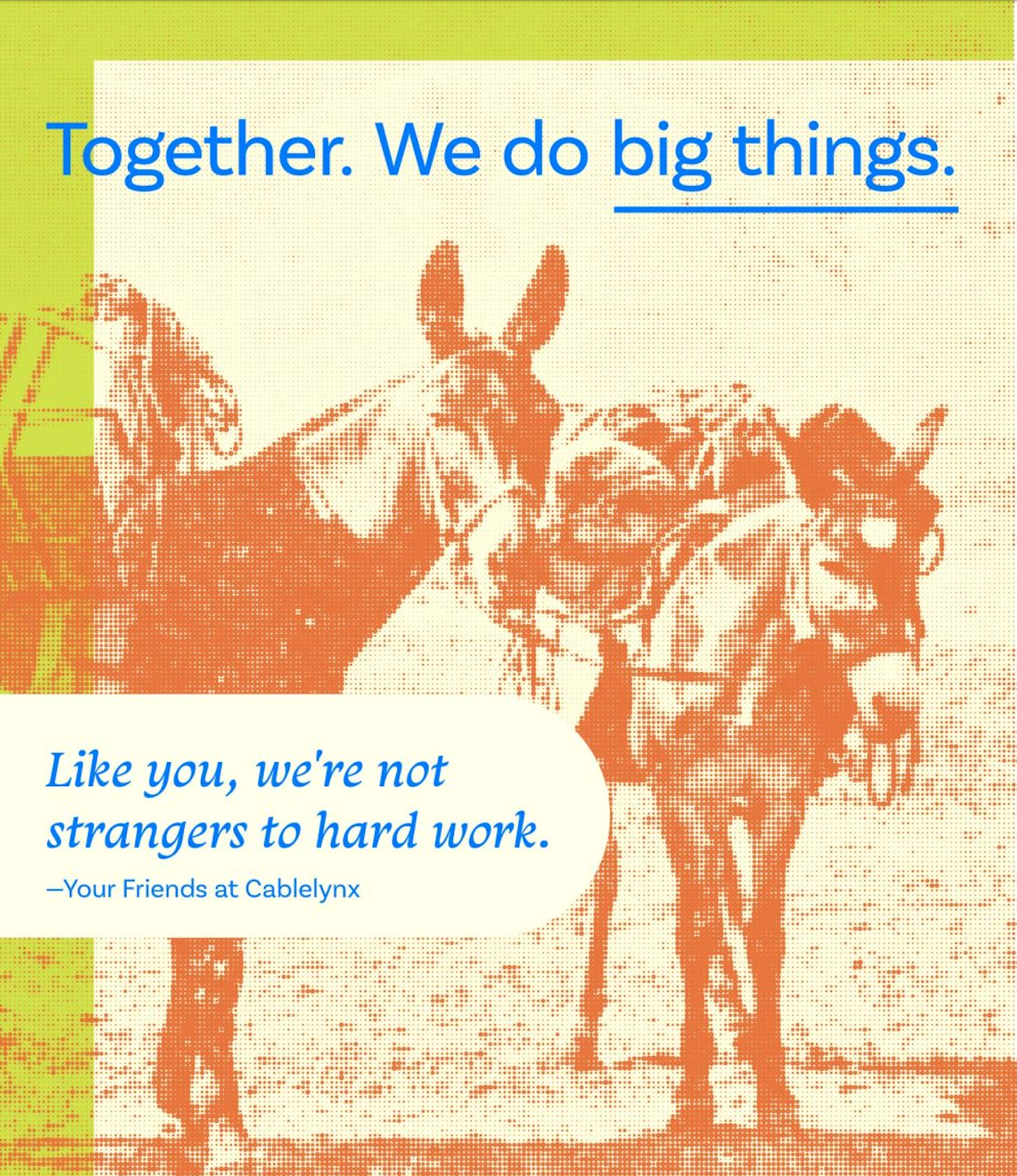 Two mules, orange-tinted, overlaid on a beige background.