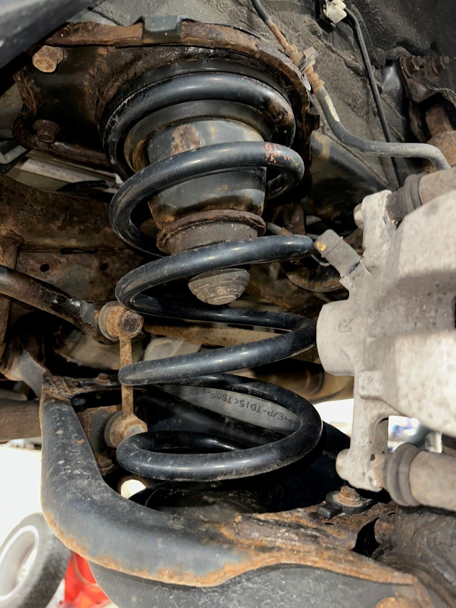 Black coil spring on a vehicle in the shop. | Lou's Car Care Center, Inc.