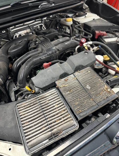 Dirty engine and cabin air filters from a vehicle.