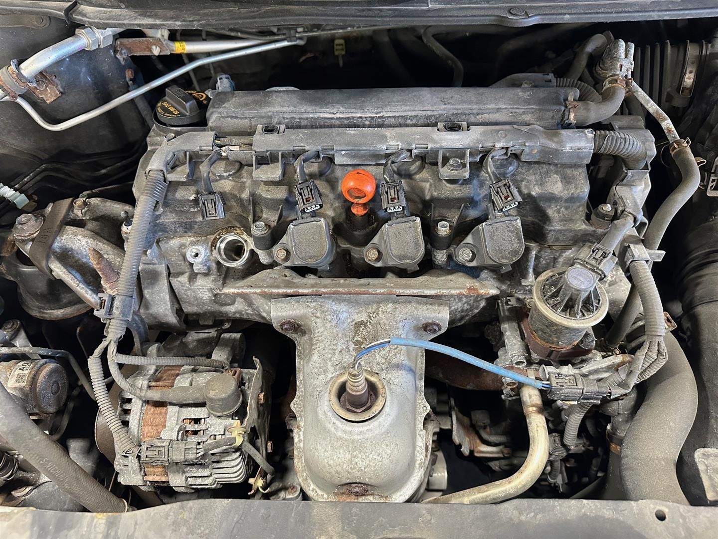 A close up of the engine of a car with the hood open. | Lou's Car Care Center, Inc.