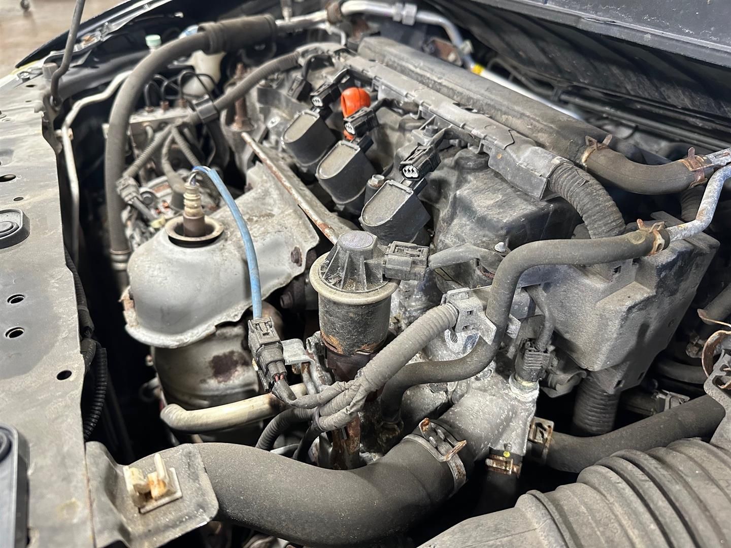 A close up of the engine of a car with the hood open. | Lou's Car Care Center, Inc.