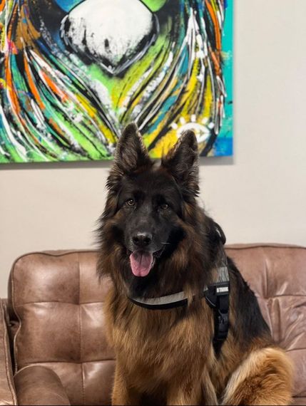 Mia K9 Legal Intern - Leigh Lyons Esq.