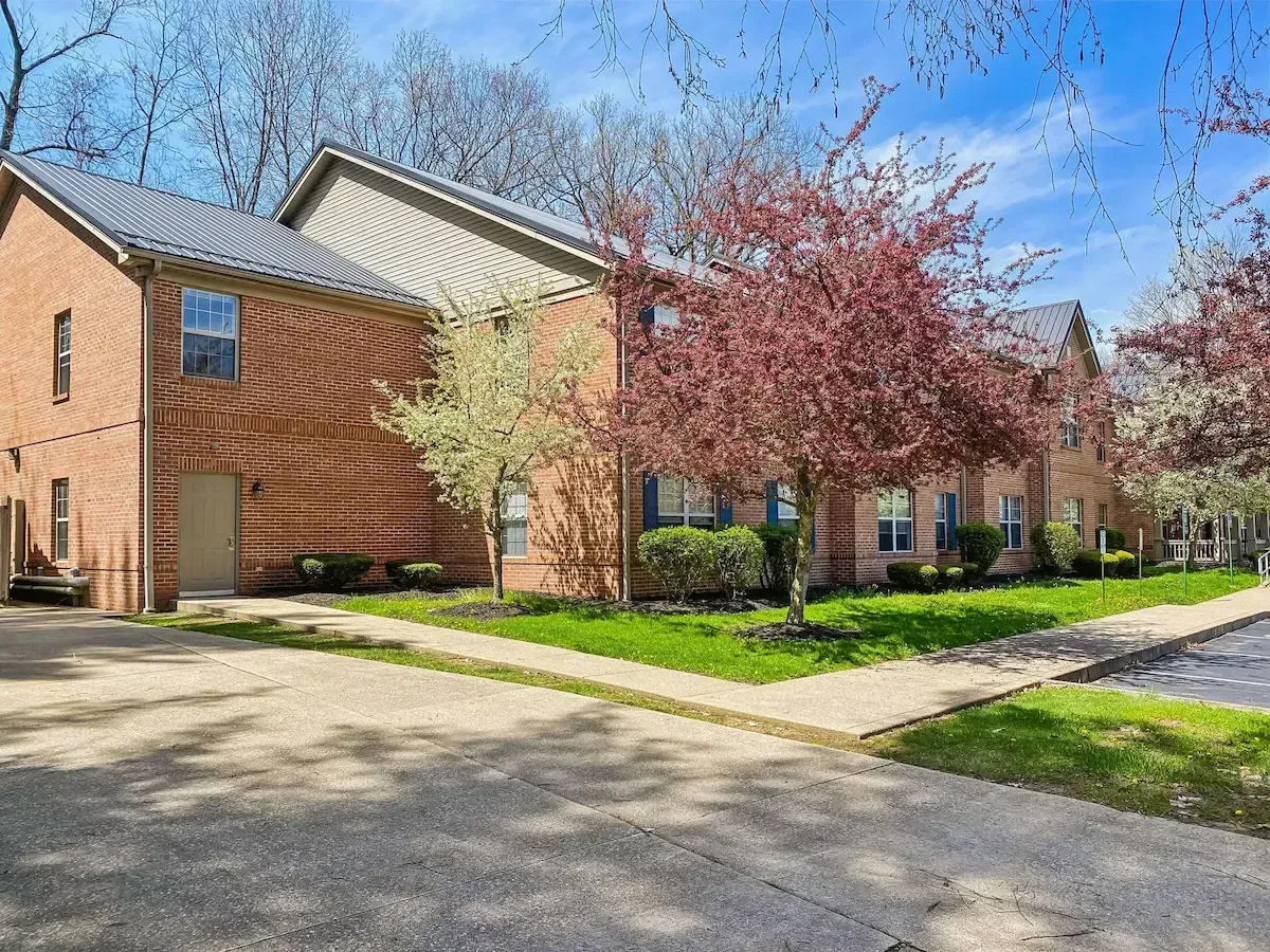 A brick apartment building with a cherry blossom tree in front of it.