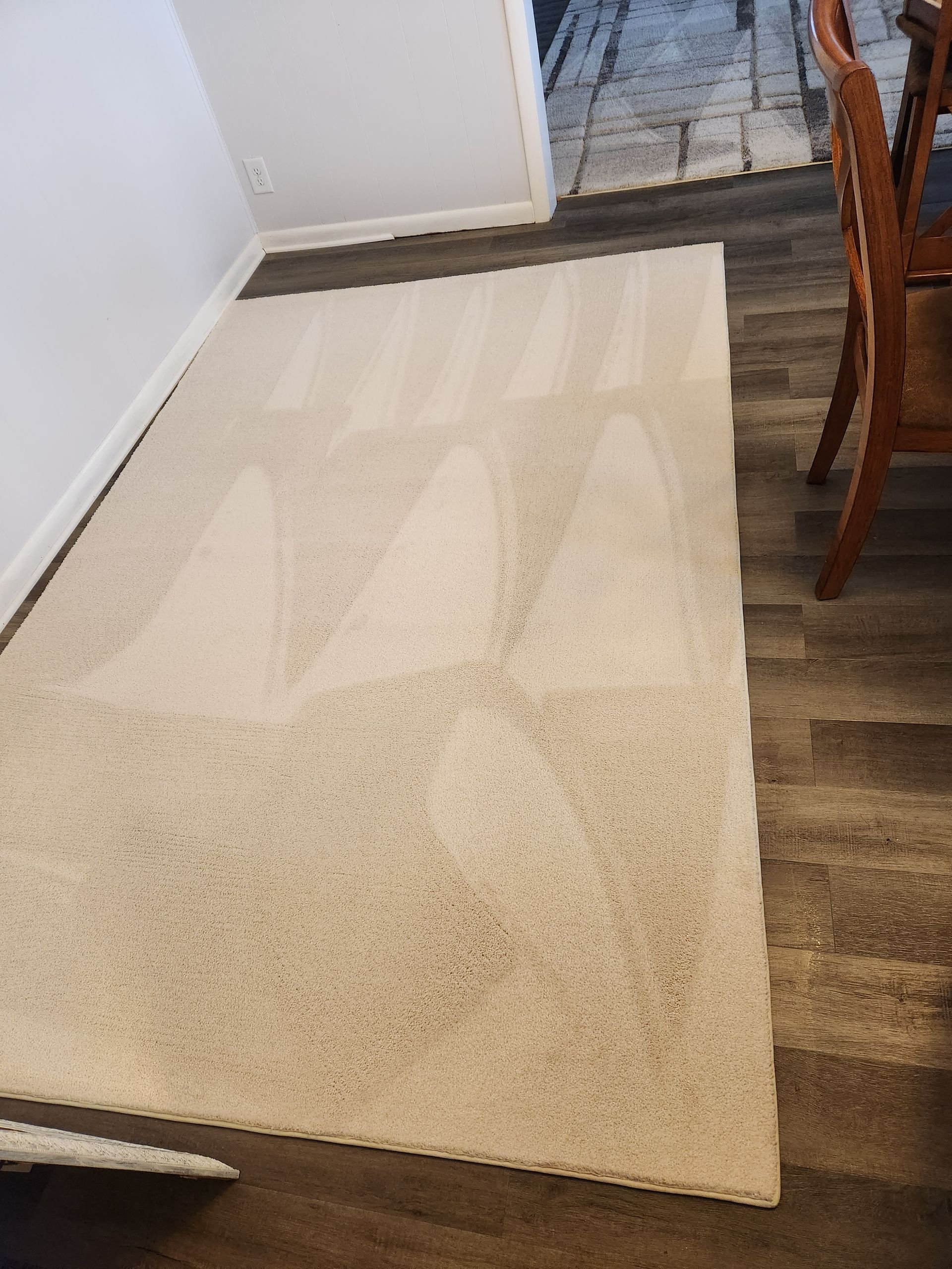 A beige carpet in a room with light grey walls and dark hardwood flooring, showing fresh, parallel cleaning lines.