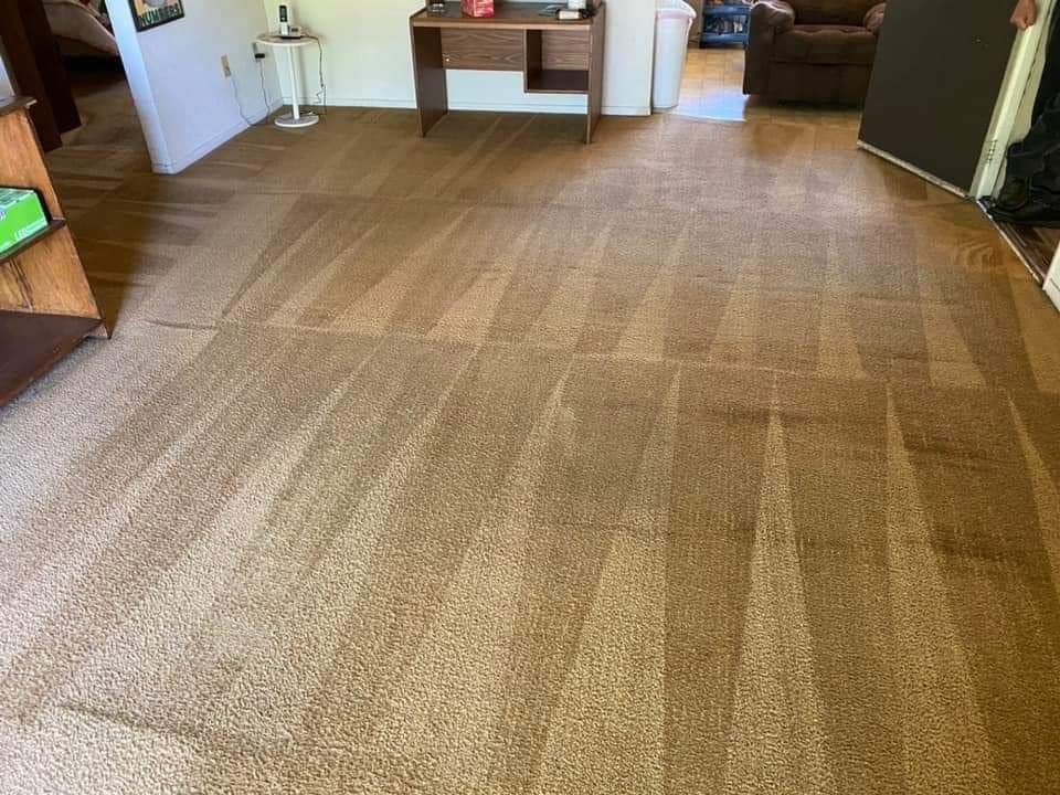 A room with tan wall-to-wall carpet showing a pattern of freshly cleaned overlapping vacuum lines.