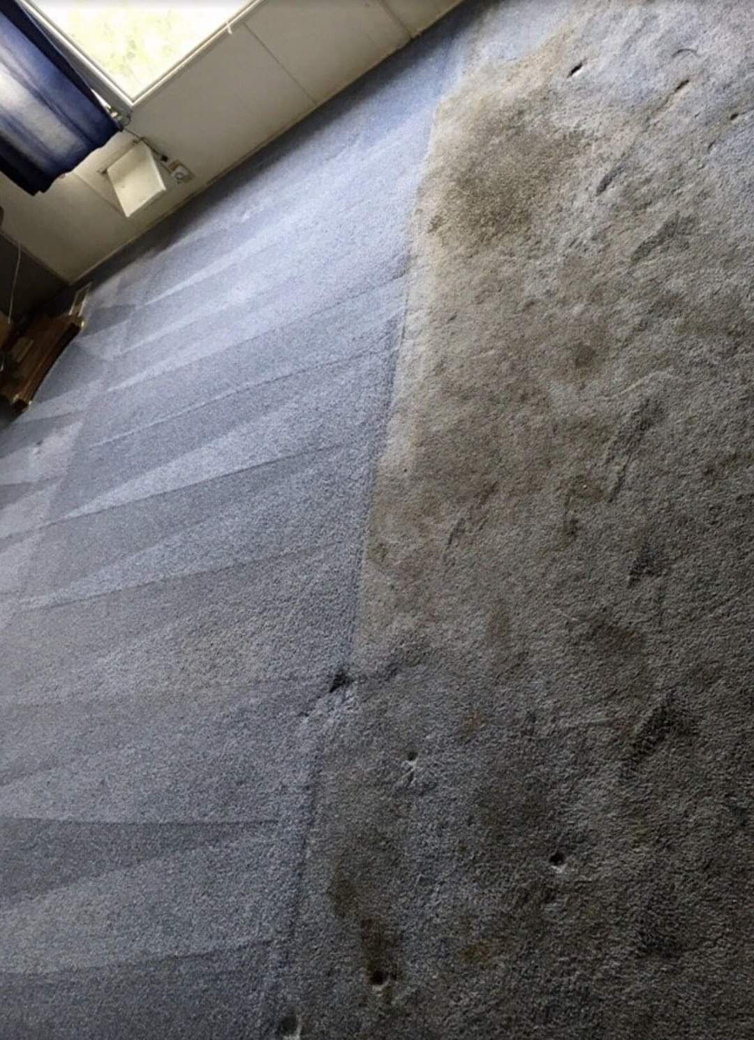 A side-by-side comparison of a carpet showing a dirty, dark gray section being cleaned into a light blue, clean state.