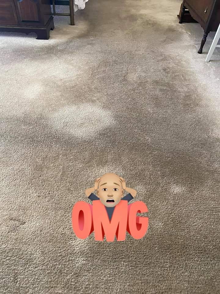 A carpet with light-colored, circular spots and an emoji of a distressed face with the word 