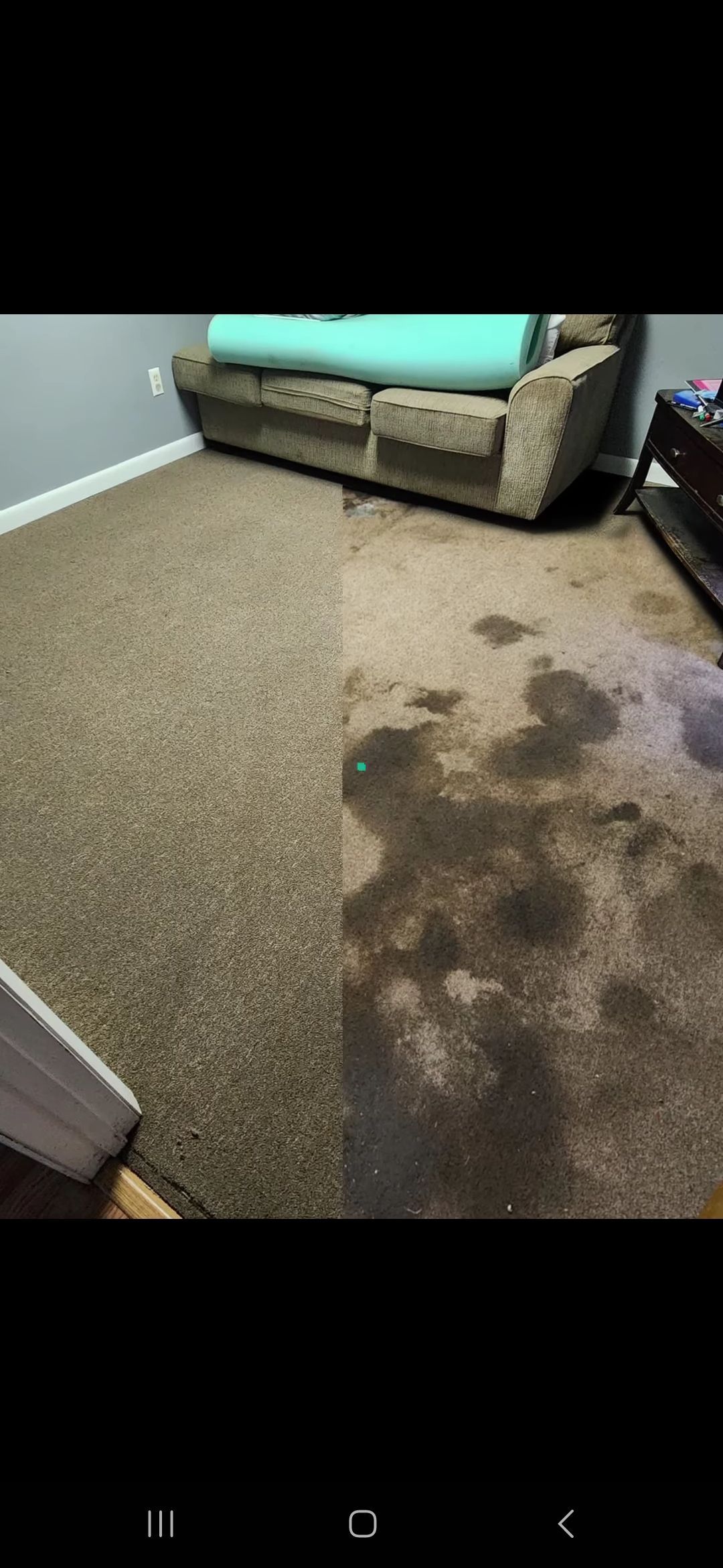 Split view showing a carpet half-cleaned, with the left side clean and the right side heavily stained and dark.
