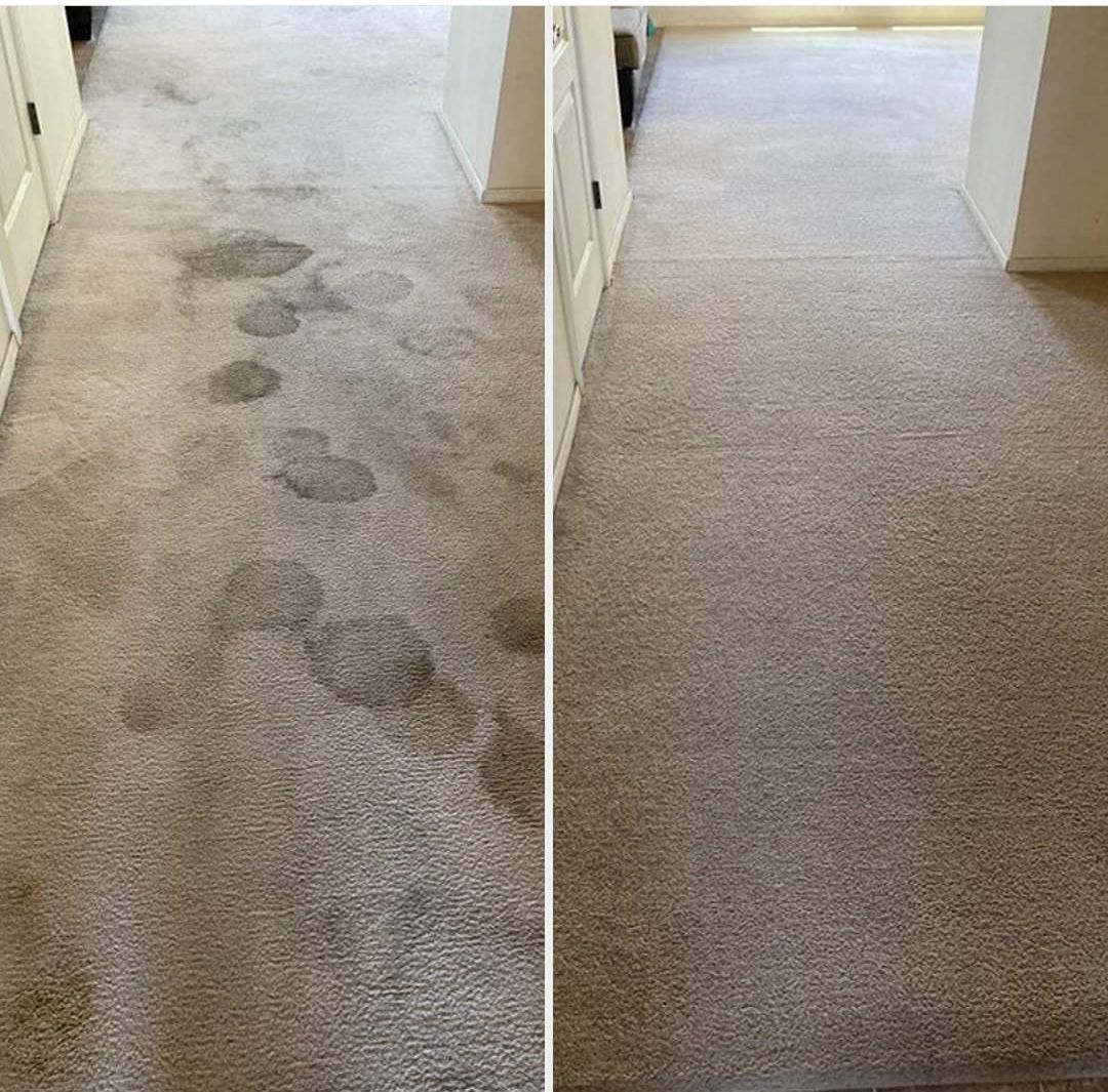 A split-screen comparison showing a carpeted hallway before and after professional cleaning.