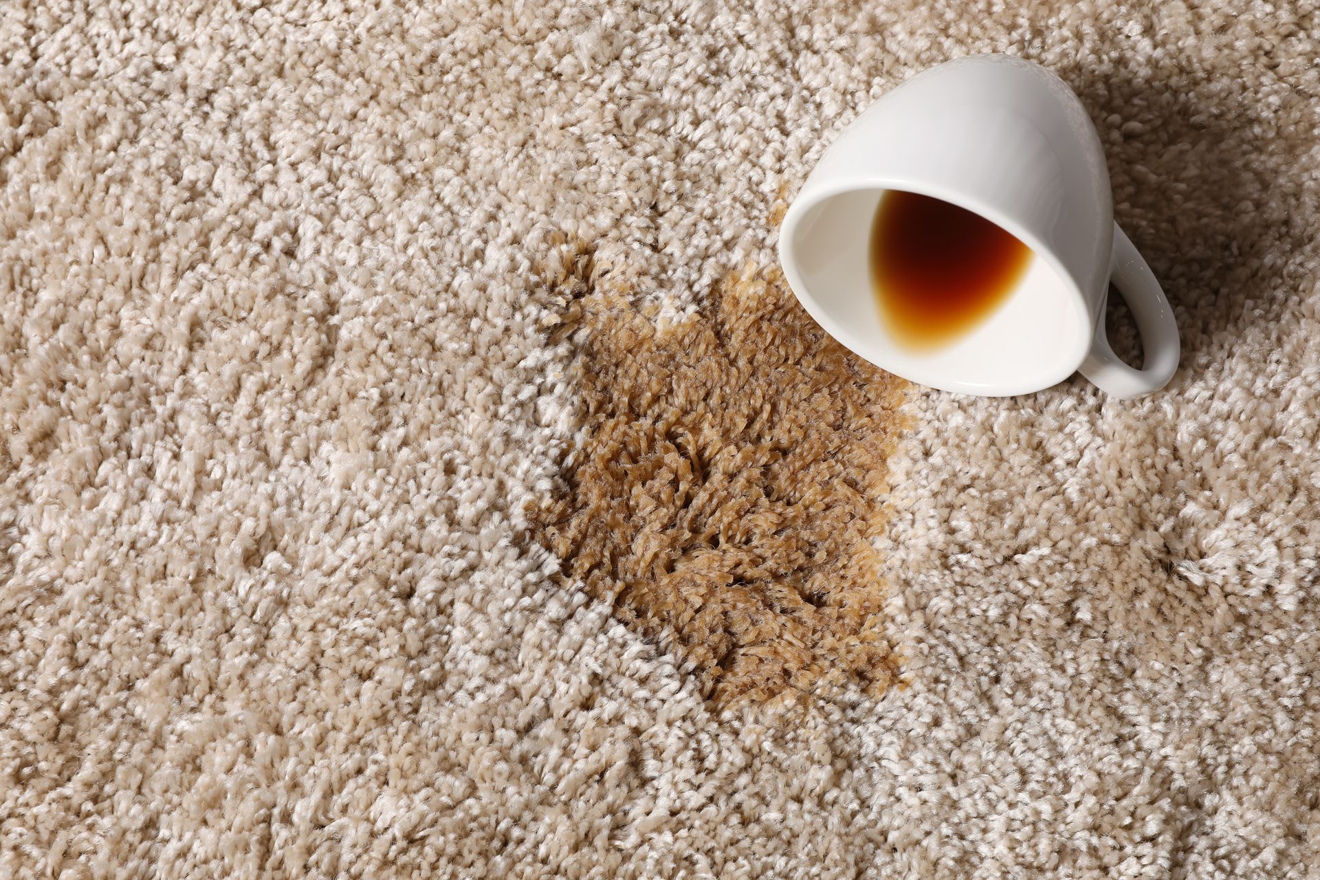 A white coffee cup tipped over on a light-colored carpet, creating a brown coffee stain.