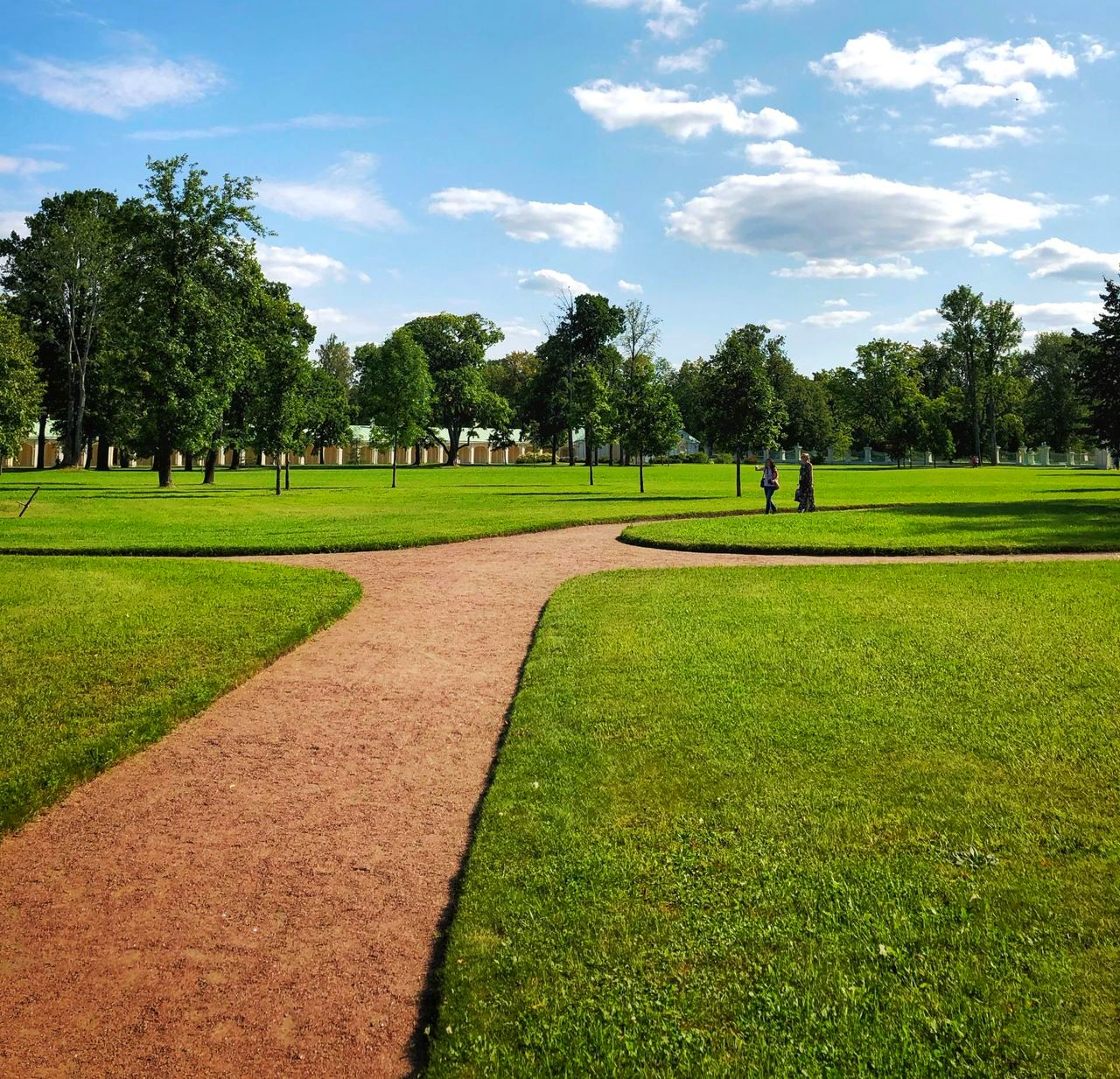 Landscaping img
