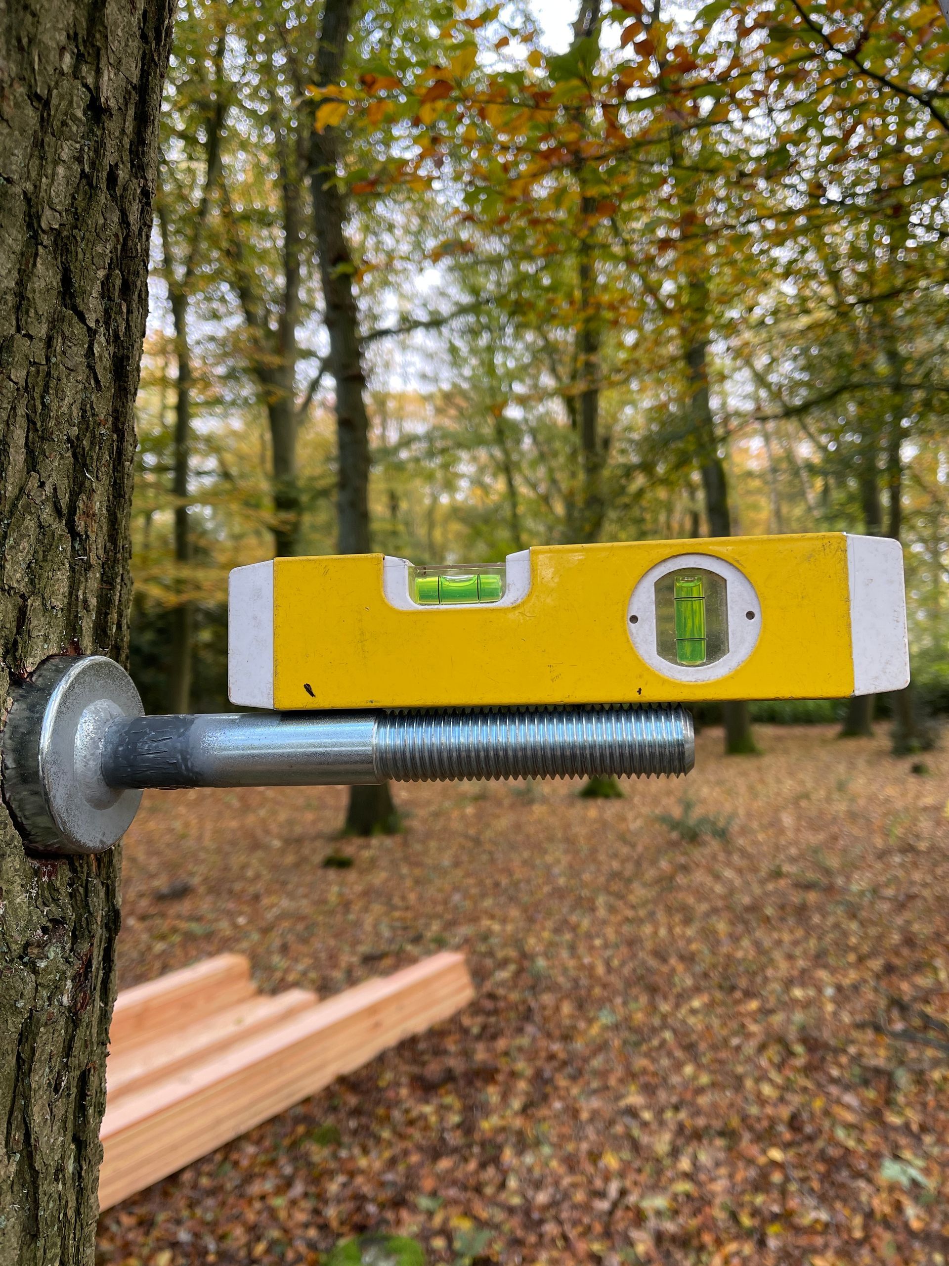 Een waterpas op een bout die uit een boom steekt, om te controleren of het terrein in een bosrijk gebied waterpas staat.