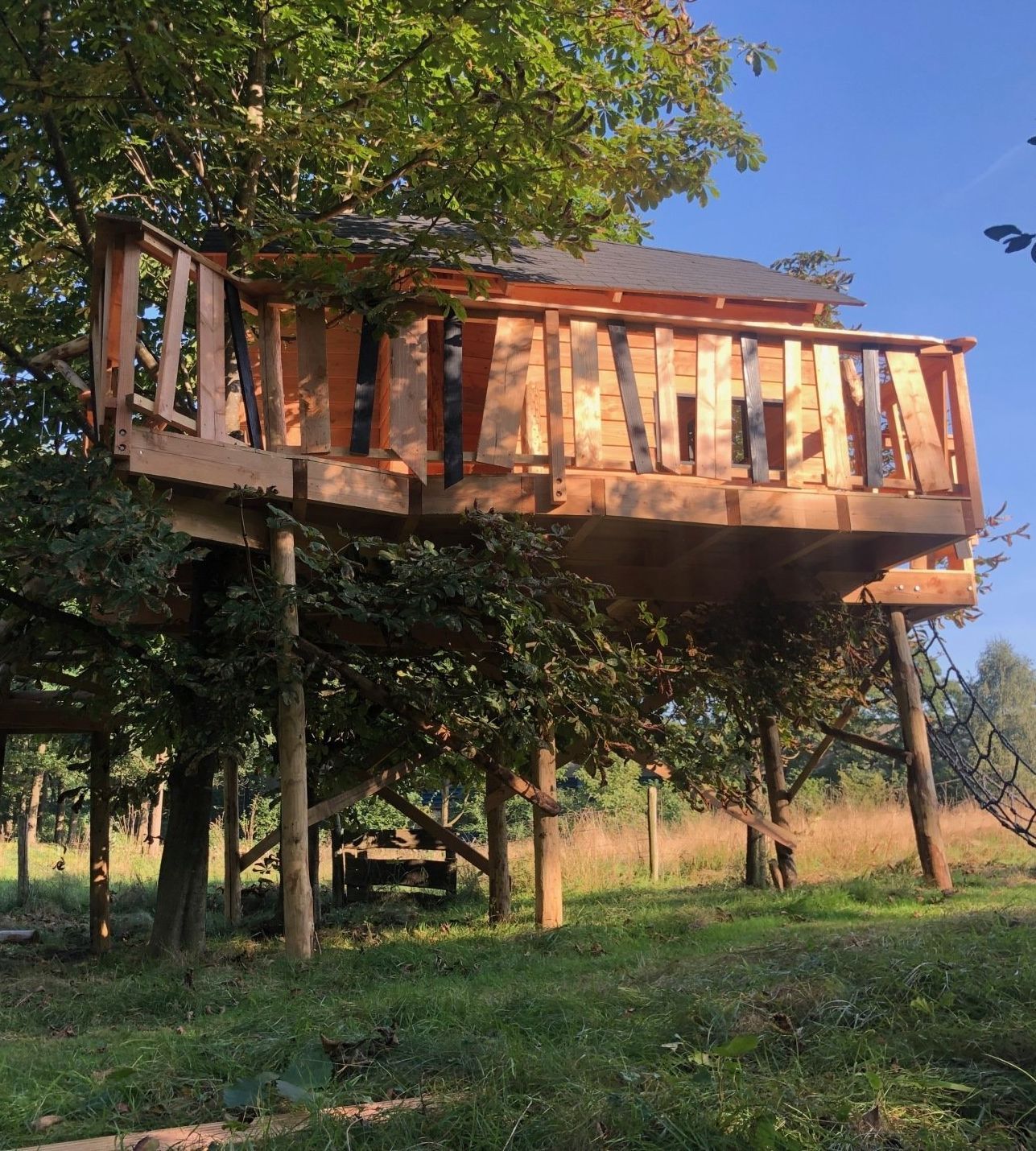 Houten boomhut met reling en dak, gebouwd in een boom. Ondersteund door houten balken, in een grasveld.