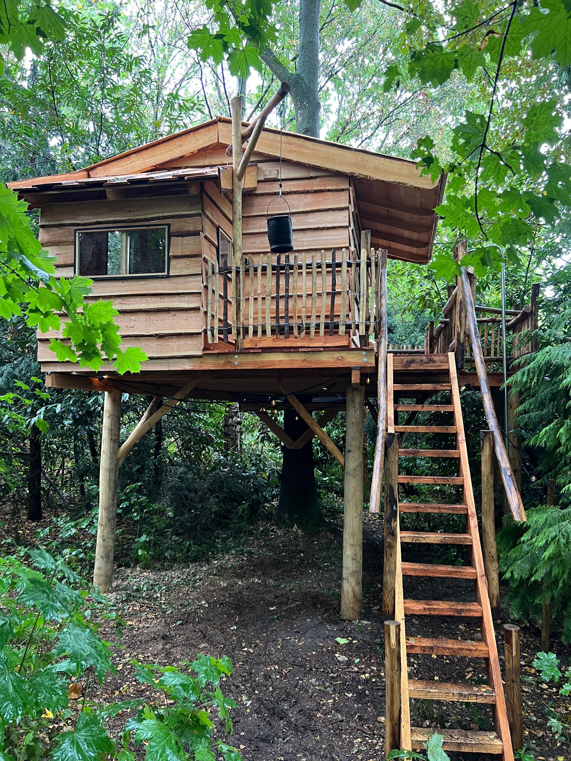 Houten boomhut met terras en trap, gebouwd in een bosrijke omgeving.