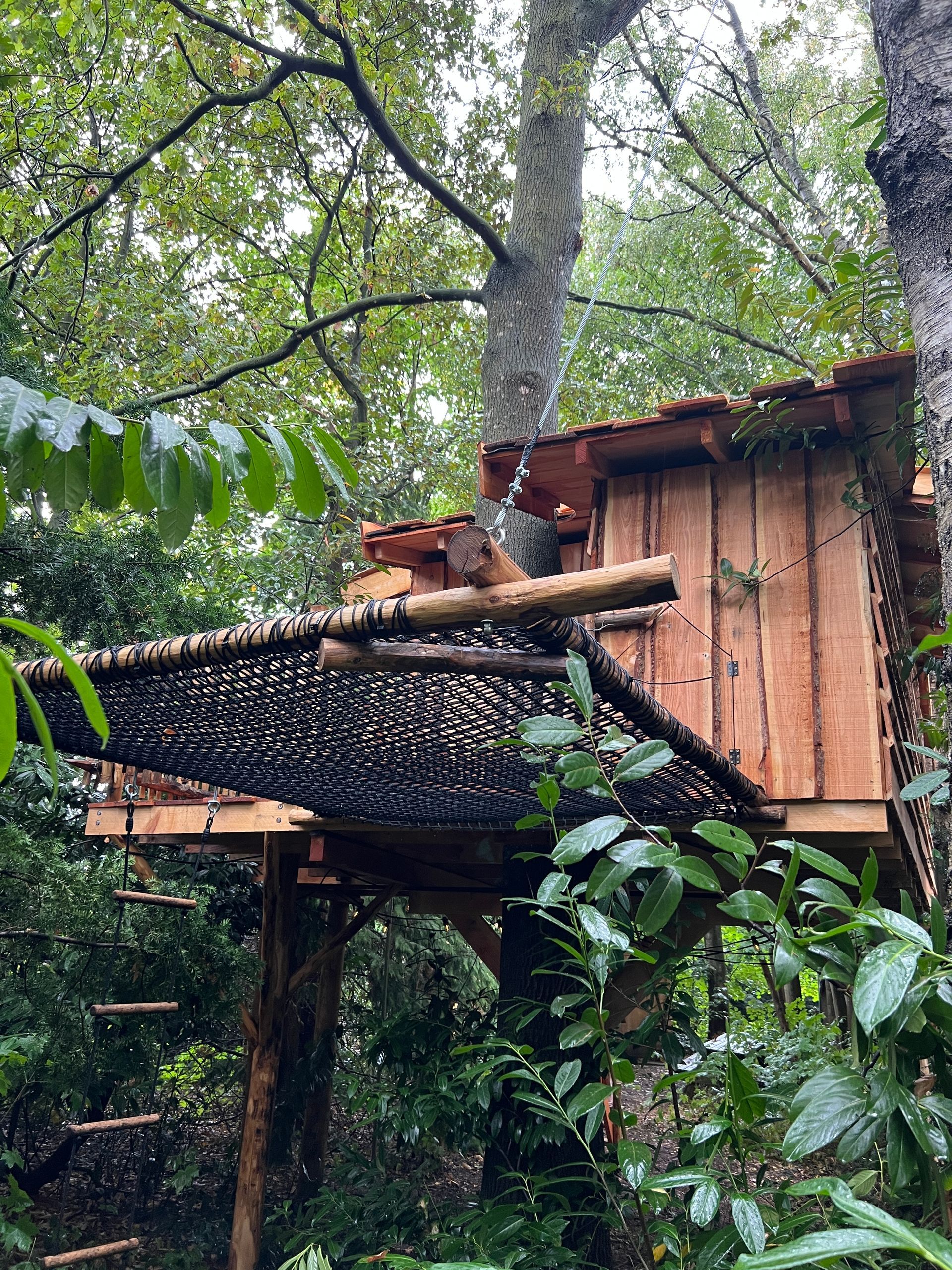 Houten boomhut met touwnet en ladder, gebouwd in een bosrijke omgeving.