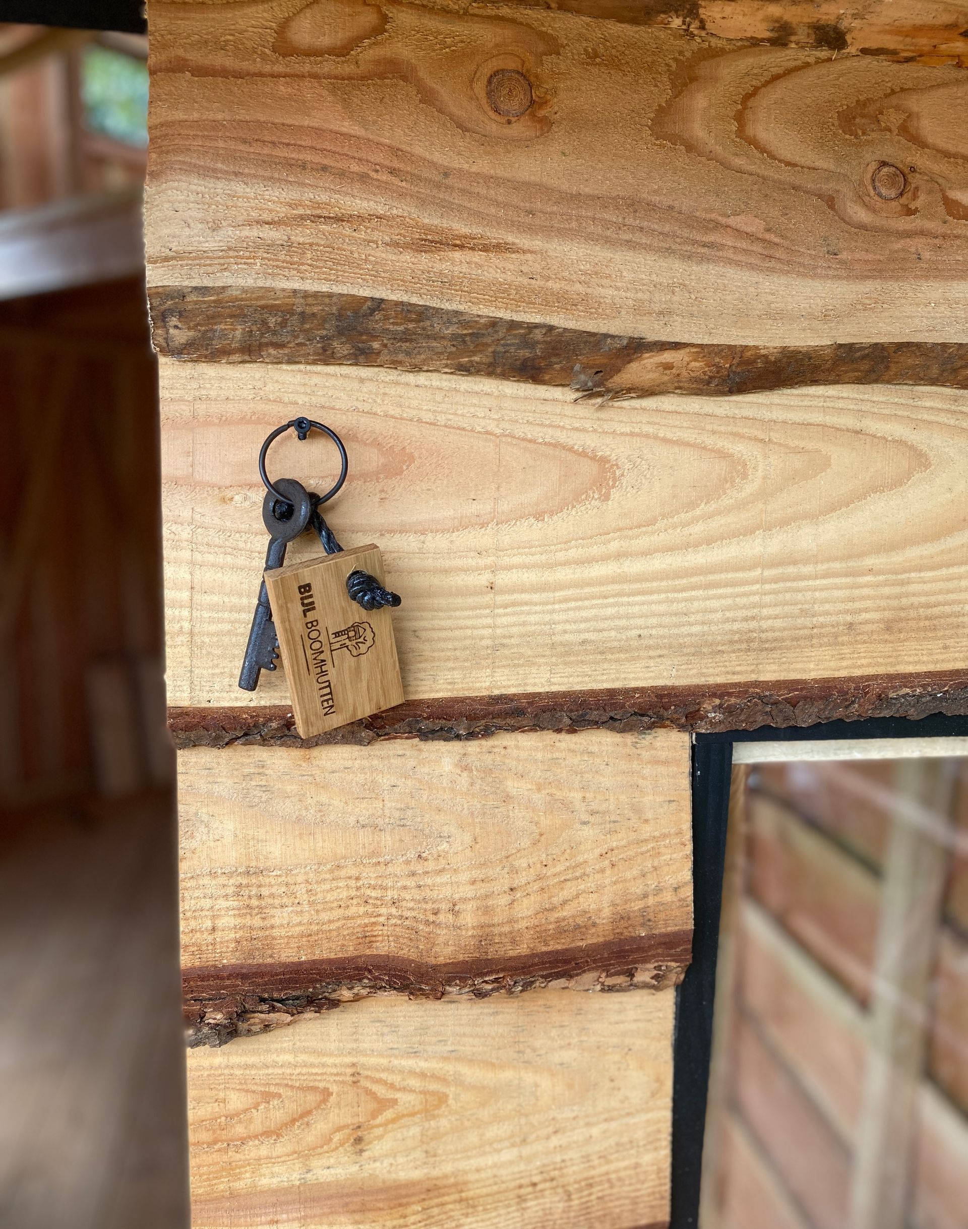 Met welk soort hout bouw je een boomhut