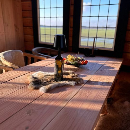 Een houten tafel met een lamp, decoratief bont en een kom met voer bij een raam met uitzicht op een veld.