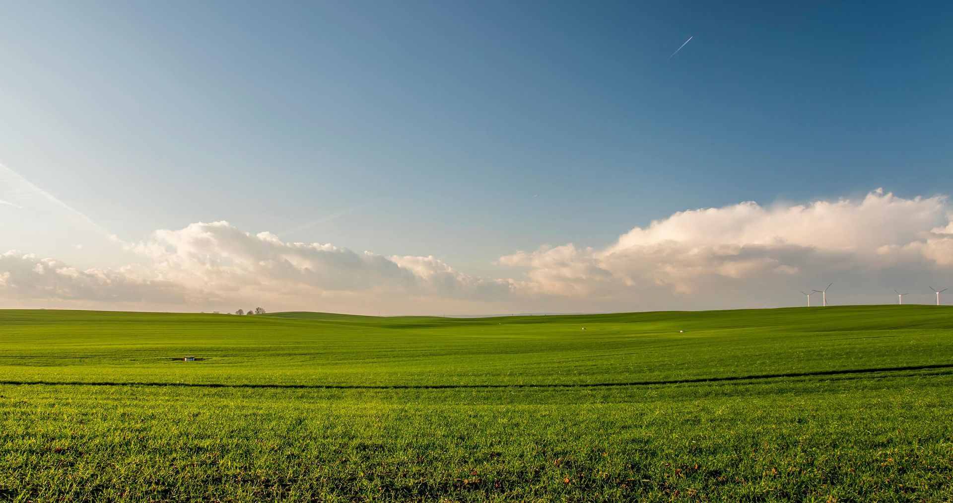 Groen veld onder een blauwe hemel met verspreide witte wolken.