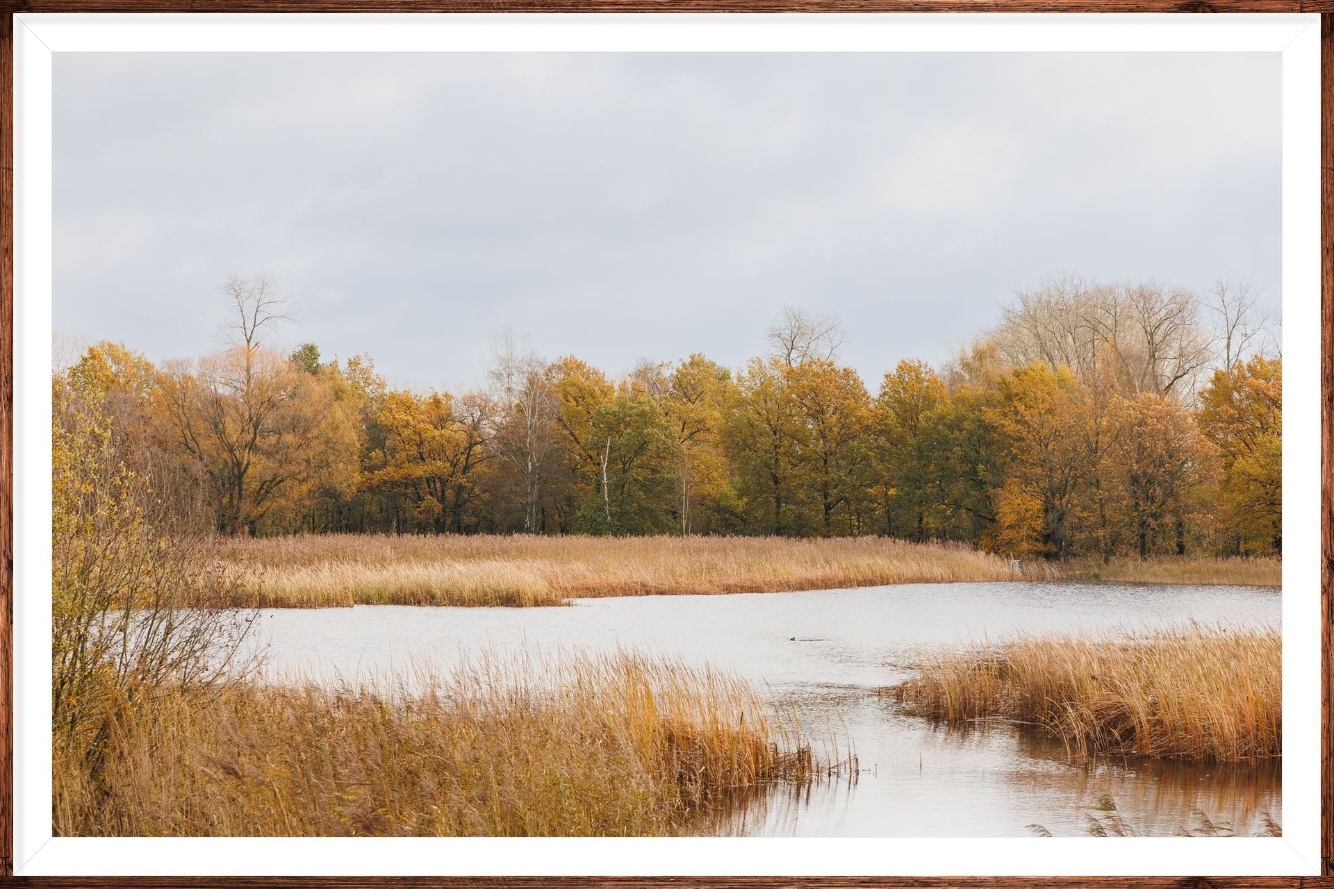 Een foto van een meer met bomen op de achtergrond