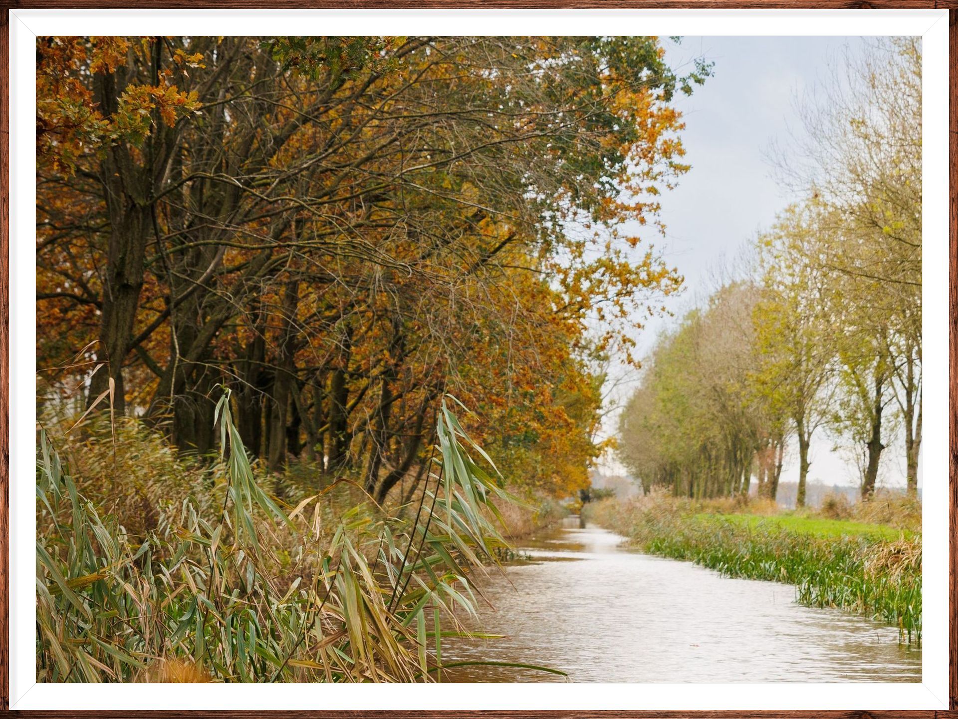 De Woeste Polder — photo 2