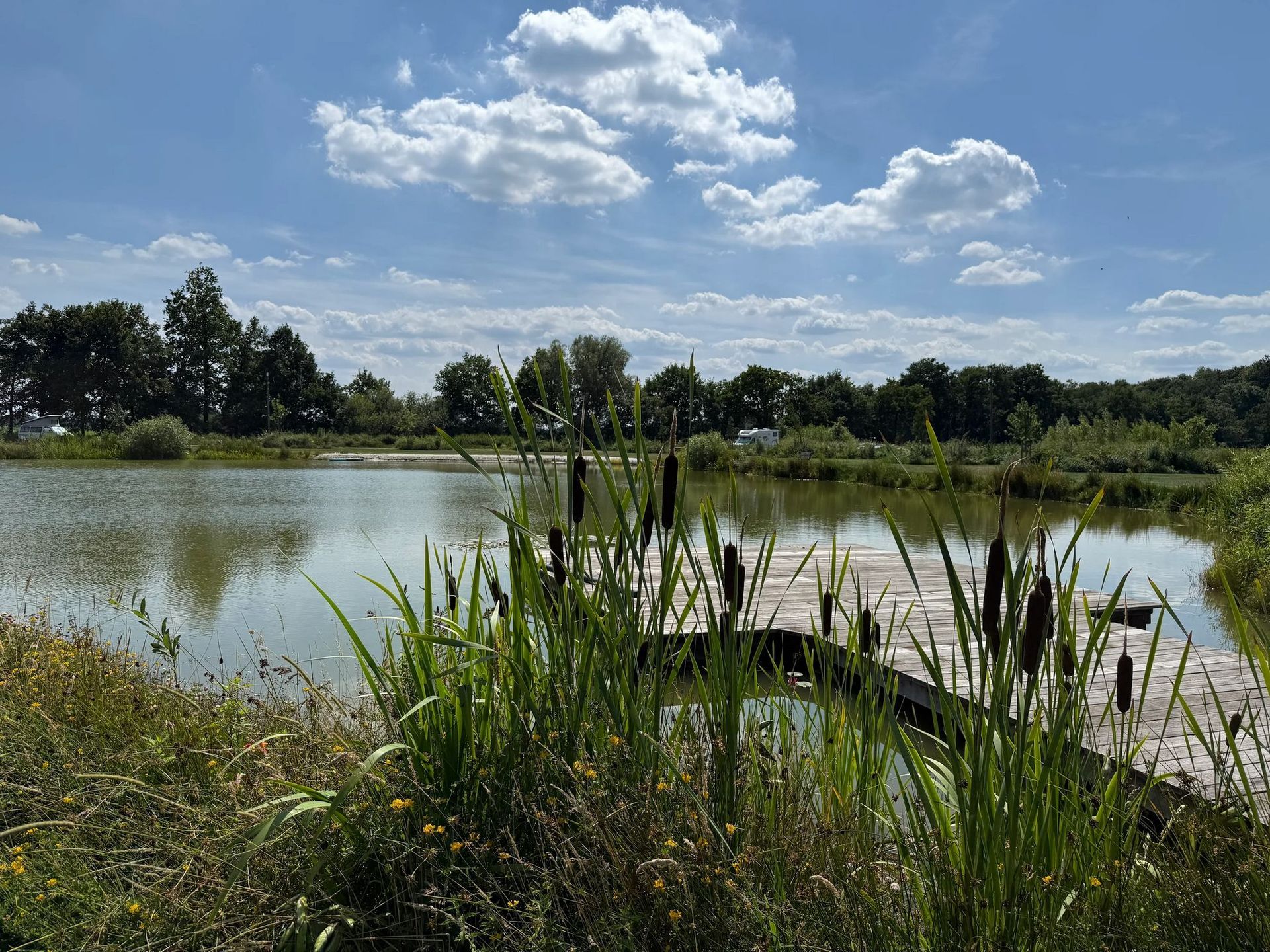 Rustig meer met een houten steiger, lisdodden en bomen onder een blauwe lucht met wolken.