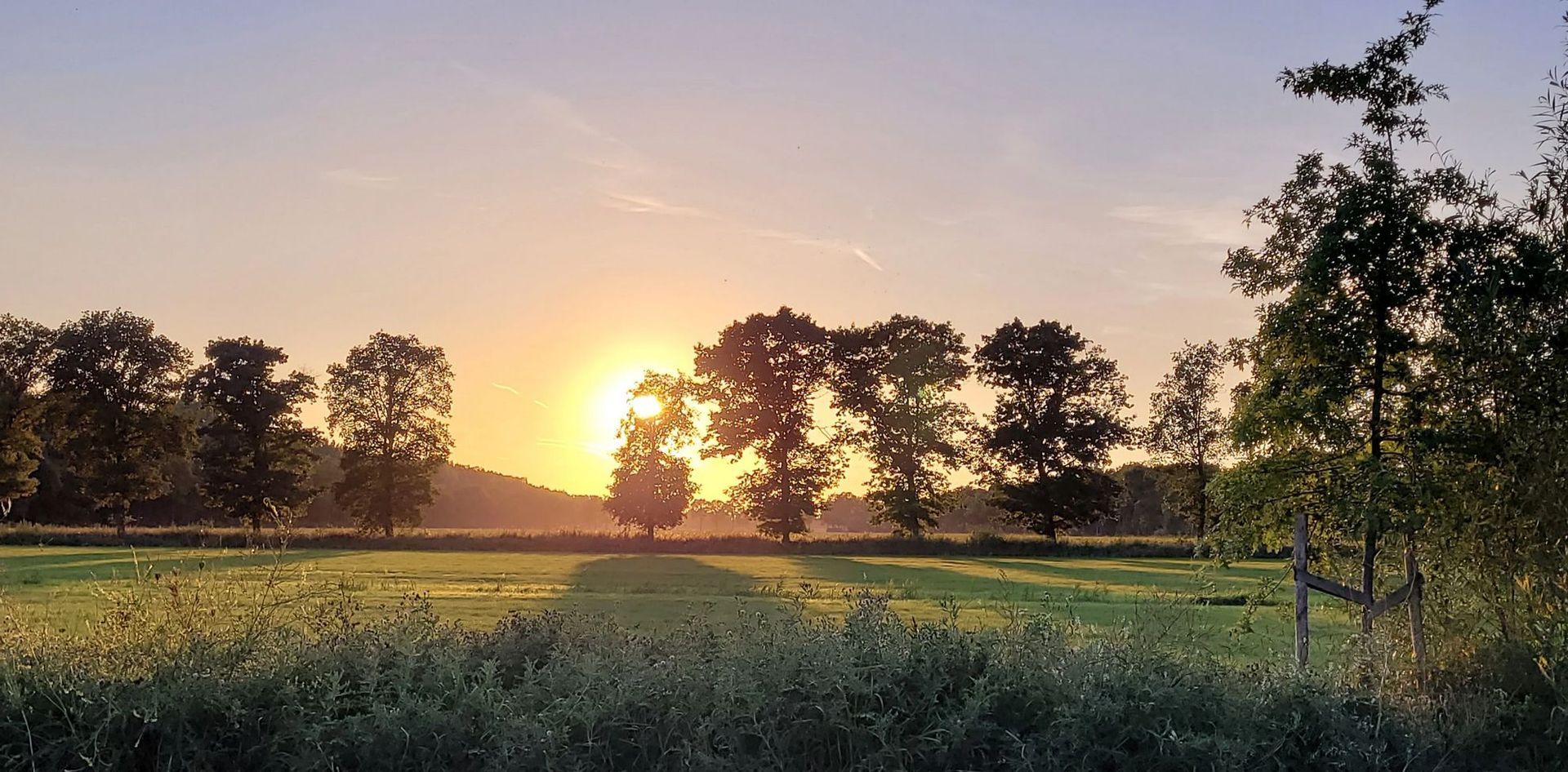 Zonsondergang boven een veld met hoog gras en een rij bomen die zich aftekenen tegen de lucht.