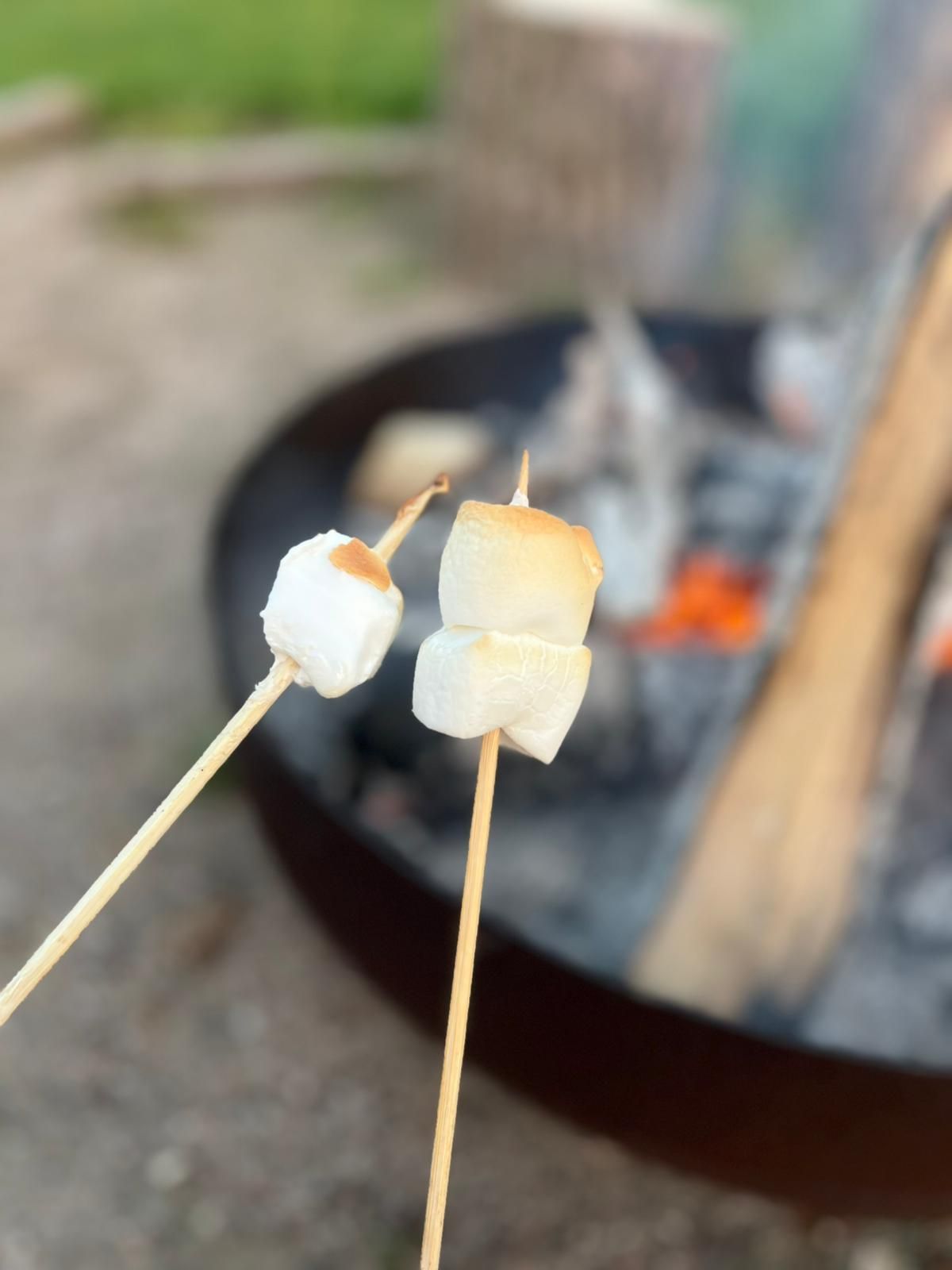 Marshmallows roosteren boven een kampvuur.