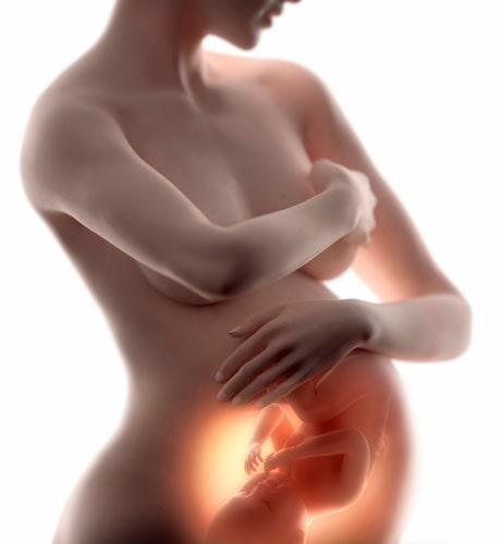 DR. OSCAR ARTURO GUTIERREZ BERNAL - ginecología