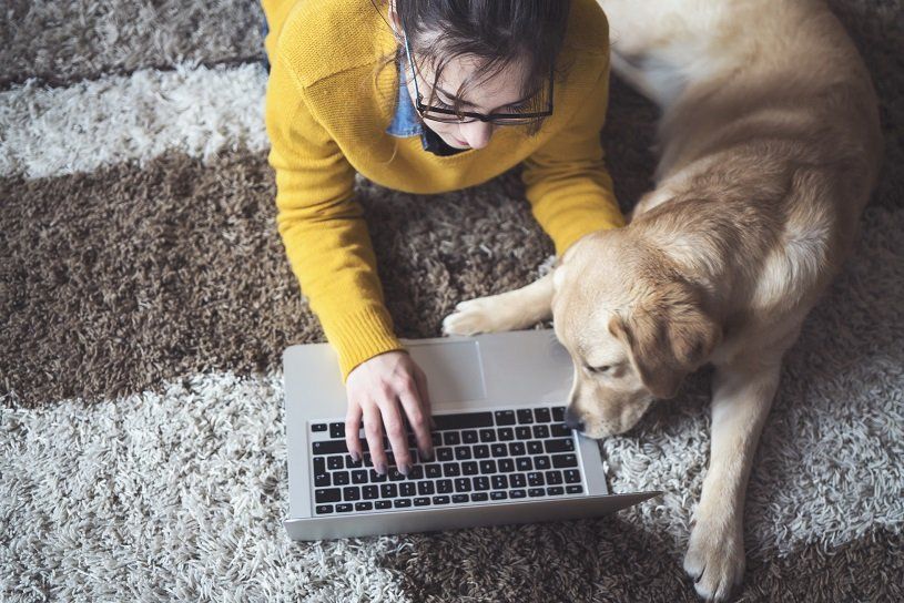 Woman in yellow sweater and glasses works on laptop, dog rests nearby on rug.