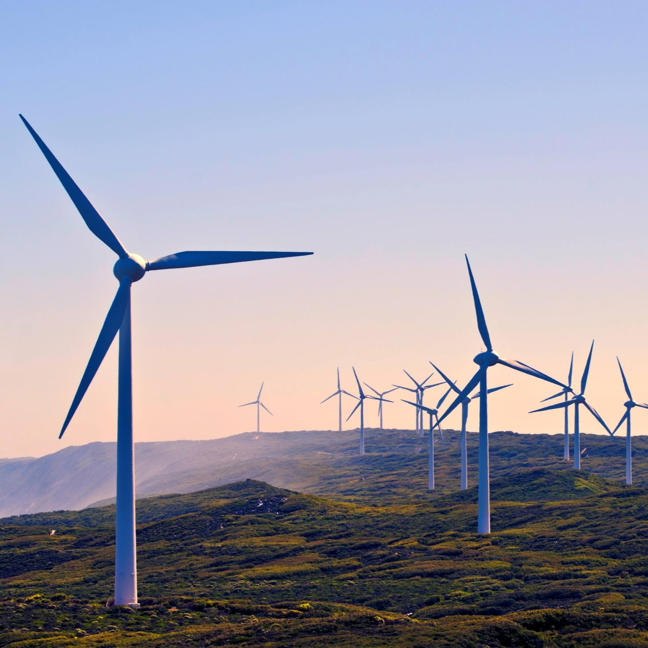 Wind turbines on a grassy hillside, generating renewable energy under a blue sky.